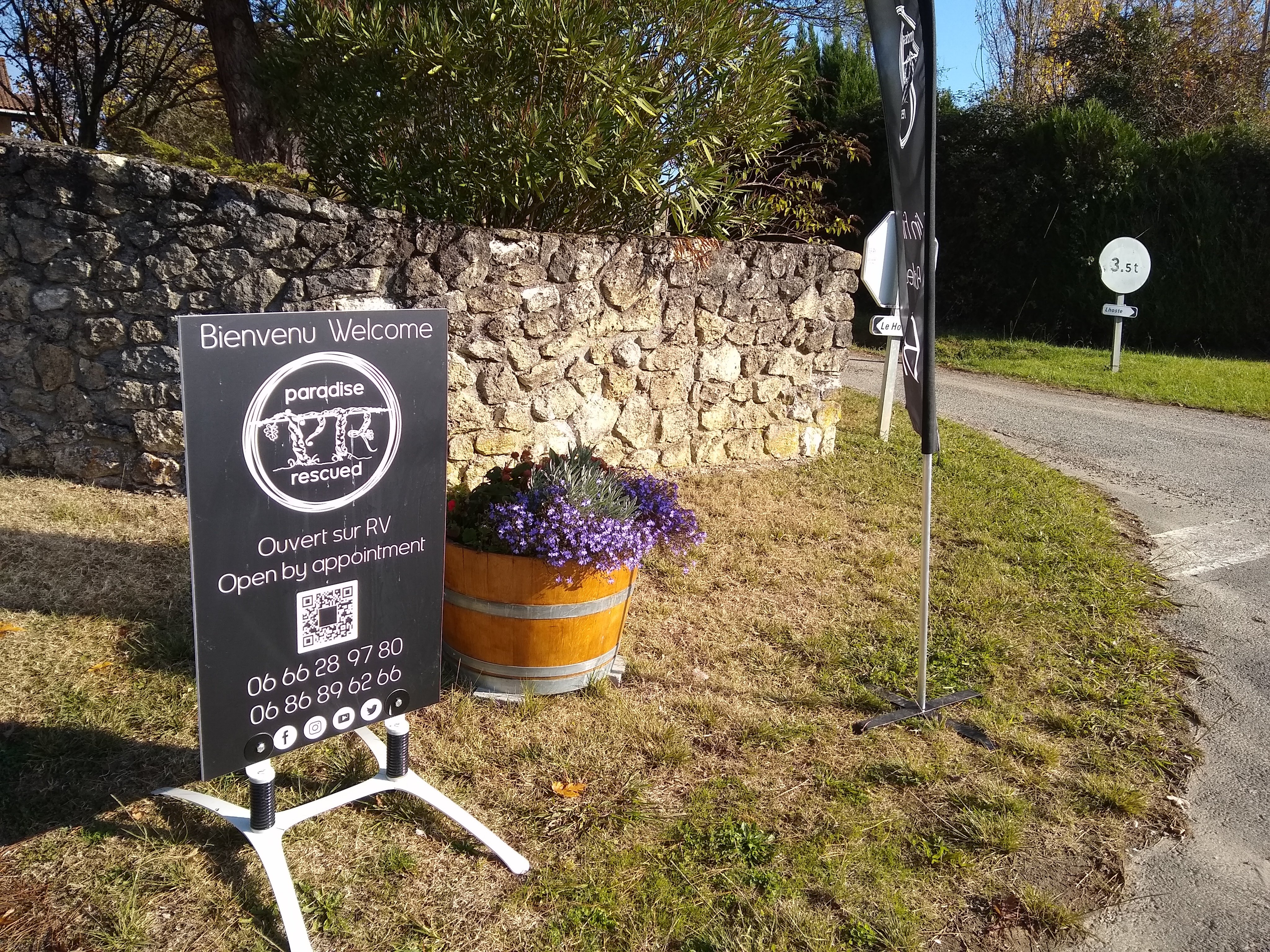 Paradise Rescued - photo 3