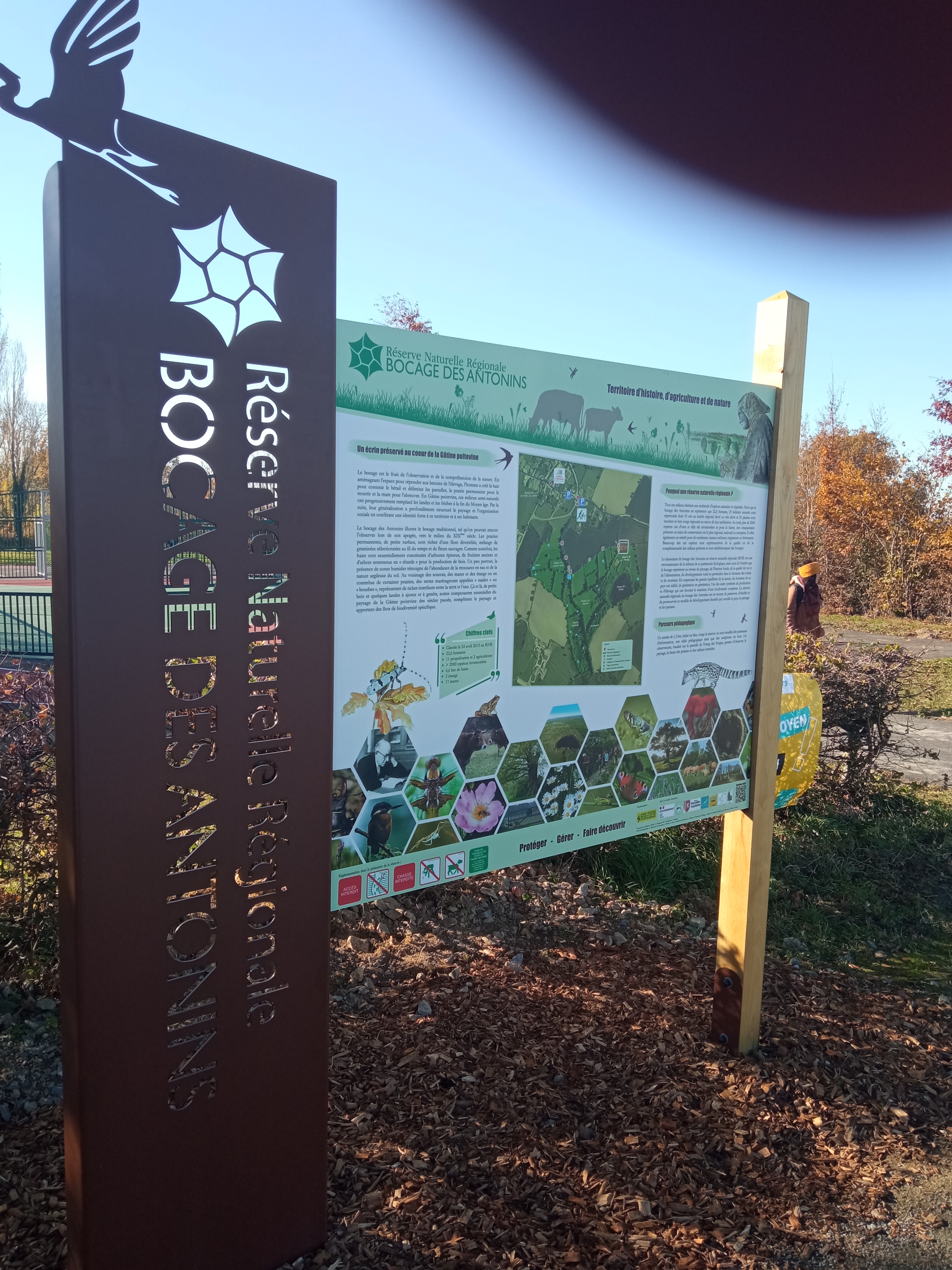 Réserve naturelle régionale du Bocage des Antonins, Saint-Marc-la-Lande - photo 3