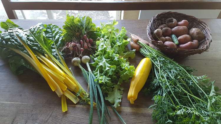 La cabane mobile, Beyssenac - photo 4