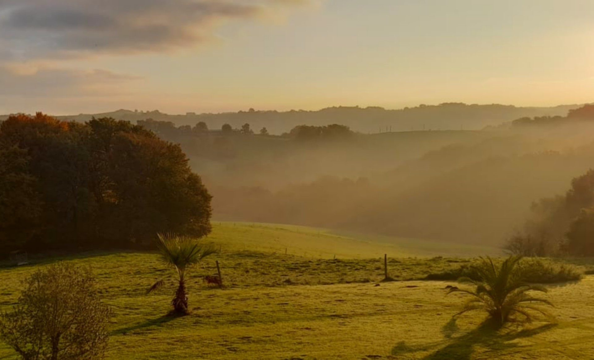 Dessine-moi un chemin, Sauvelade - photo 5