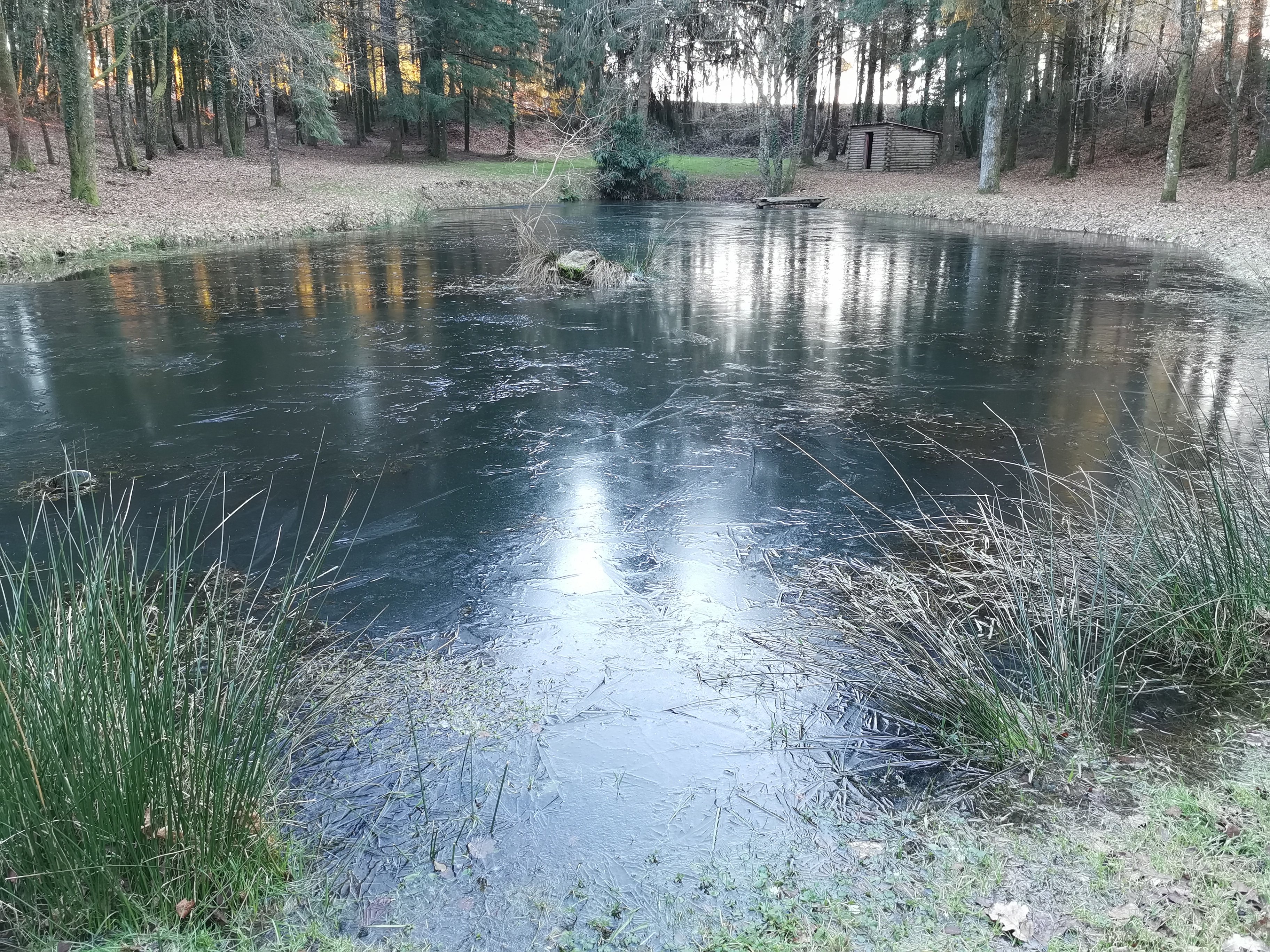 La Pause Correzen, Saint-Privat - photo 15