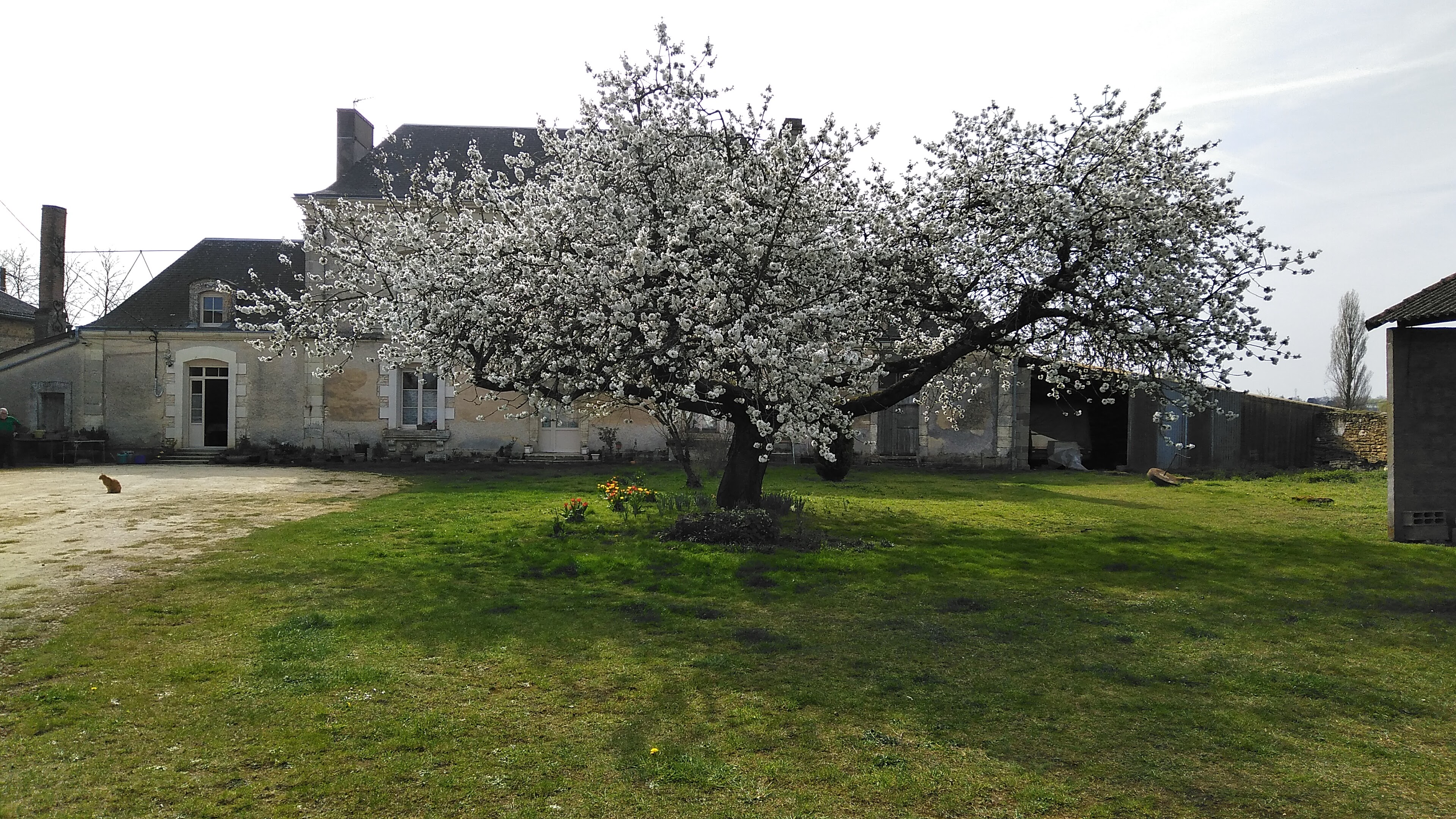 Mme GUILLOT Michèle