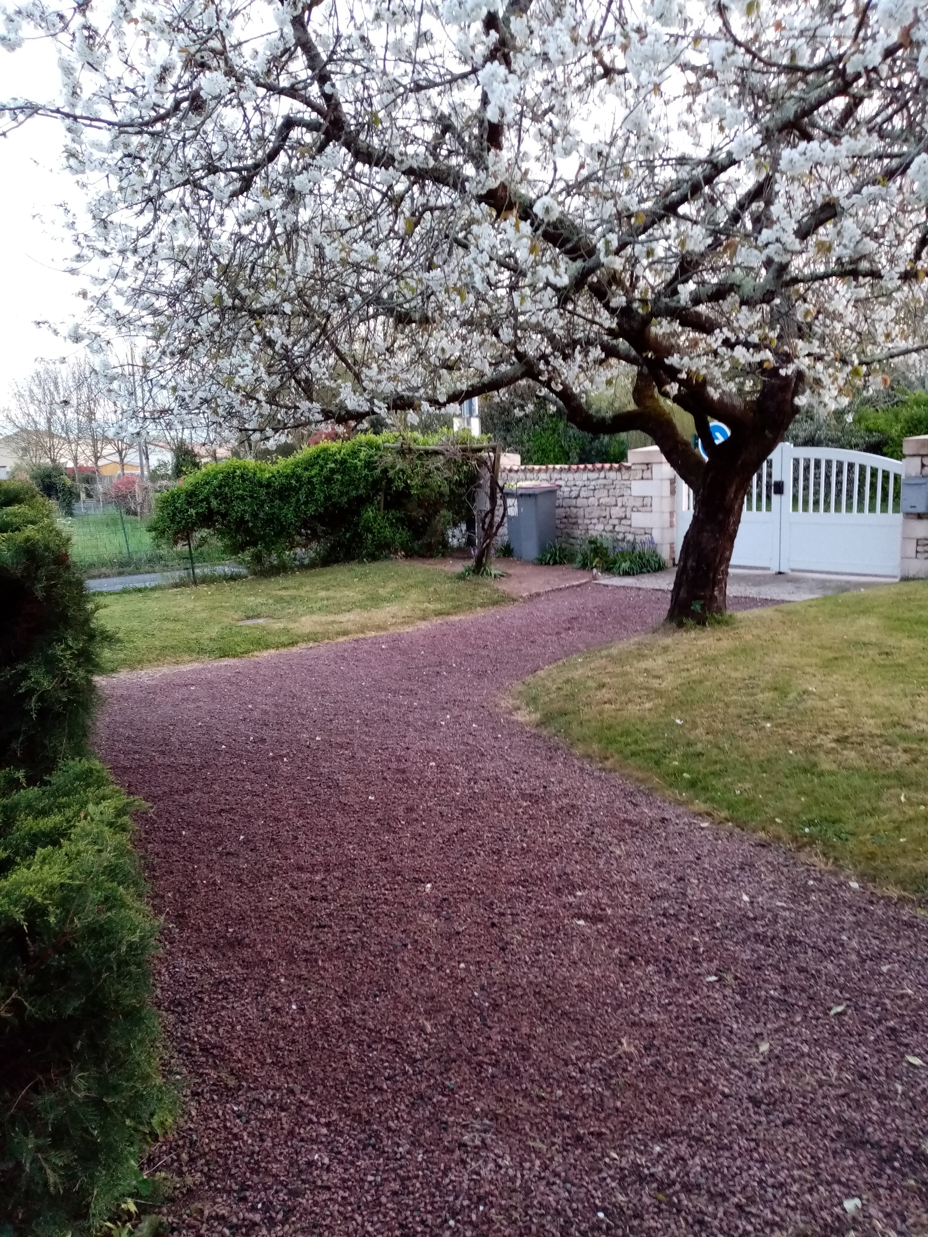 Mon P'tit Nid - photo 4