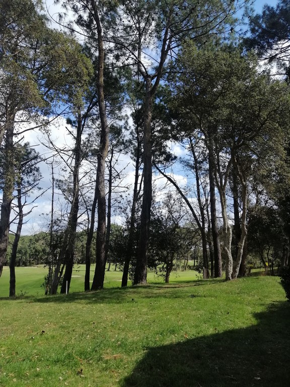 Location Villenave, Moliets-et-Maa - photo 5