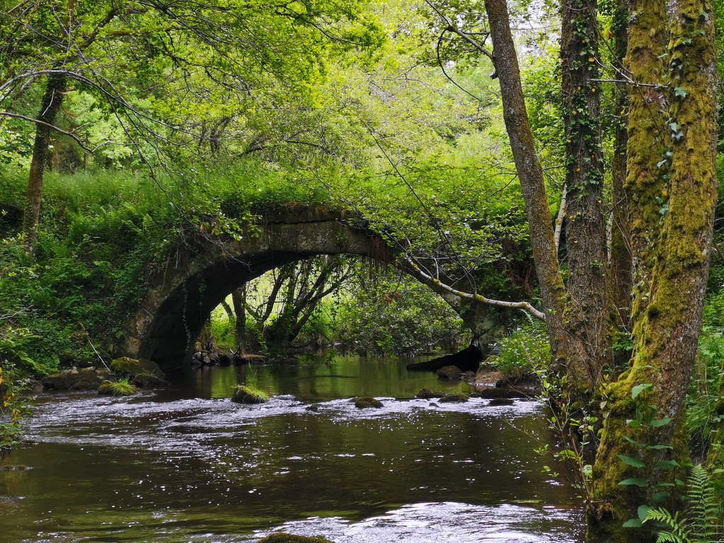 Aire de pique nique du Pont Péri - photo 2