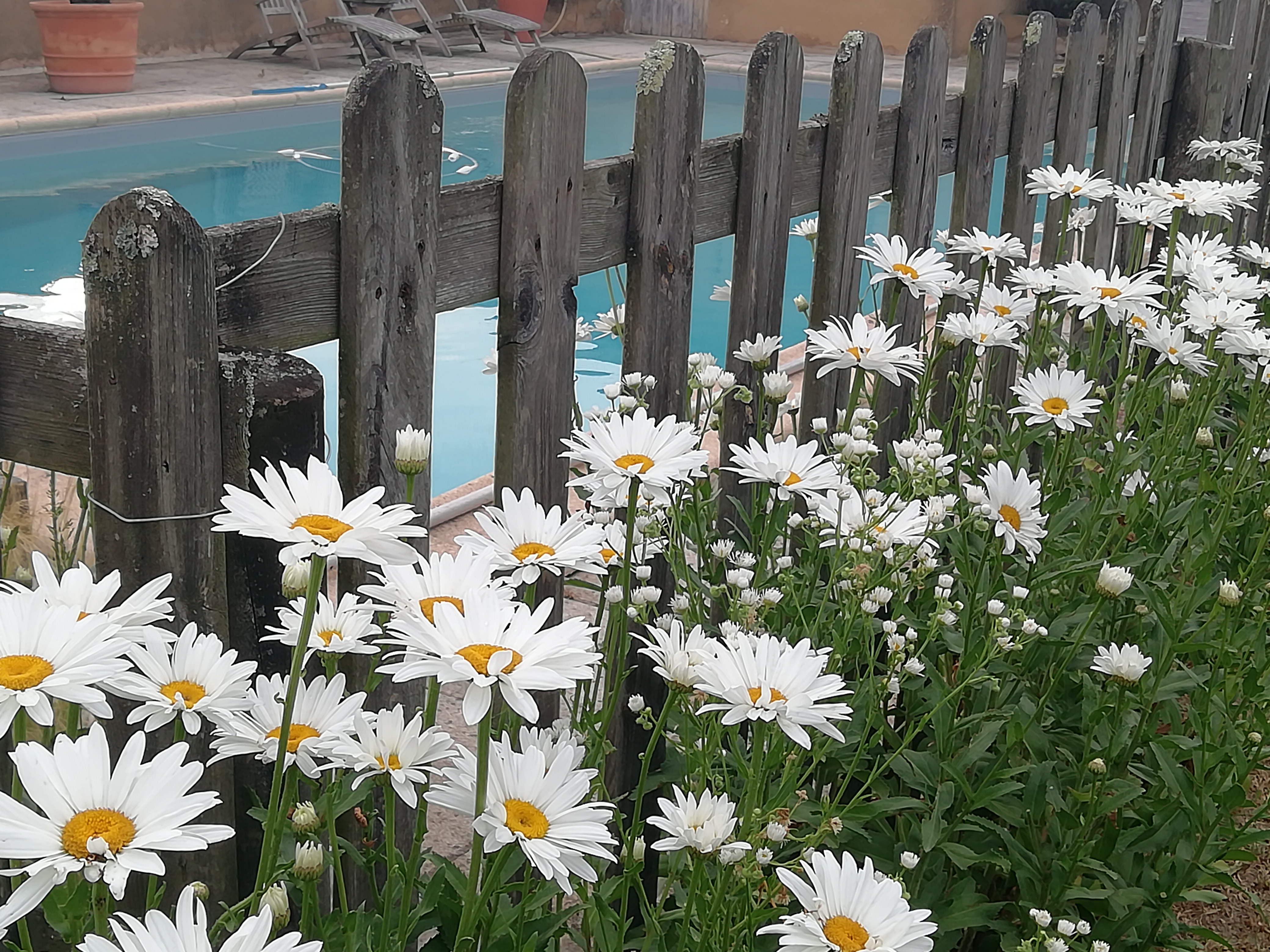 Le chai de Serres, Artassenx