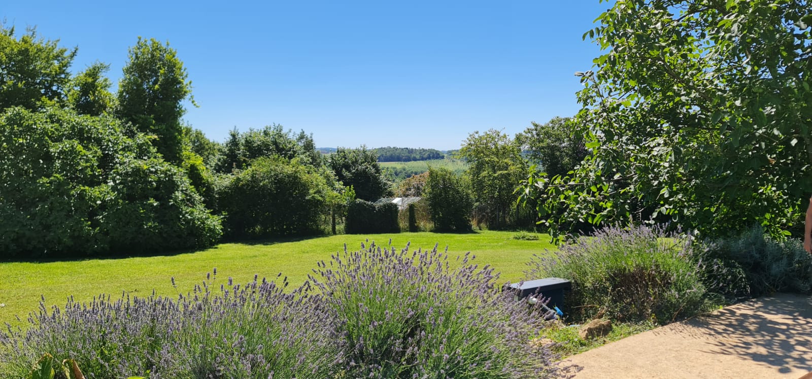 Le Mas, Corgnac-sur-l'Isle - photo 3