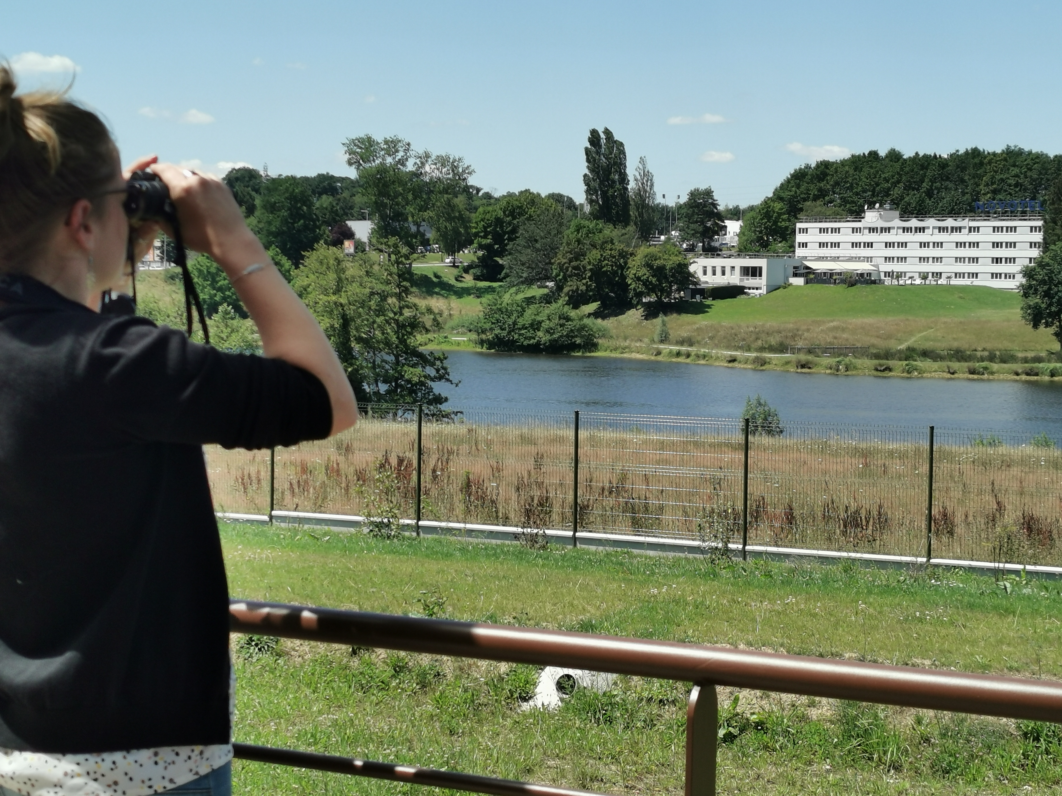 Sortie avec la maison de la nature - Les oiseaux de nos campagnes, Laurière