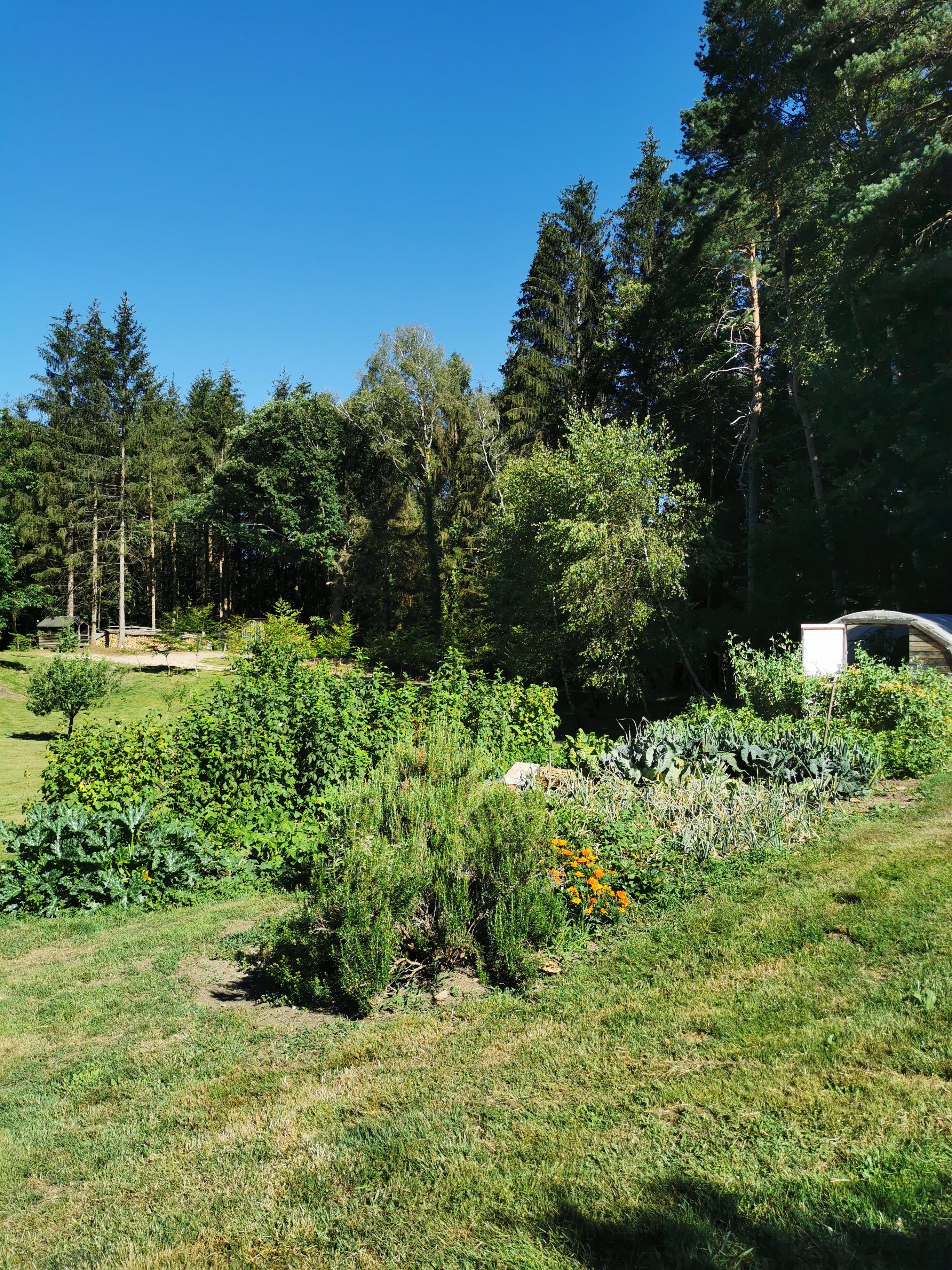 La Pause Correzen, Saint-Privat - photo 14