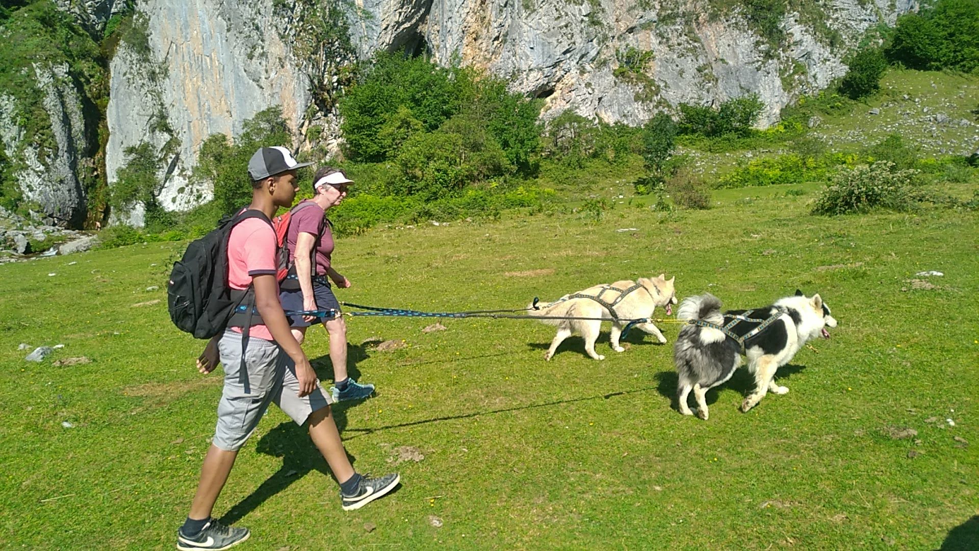Tracés Sauvages