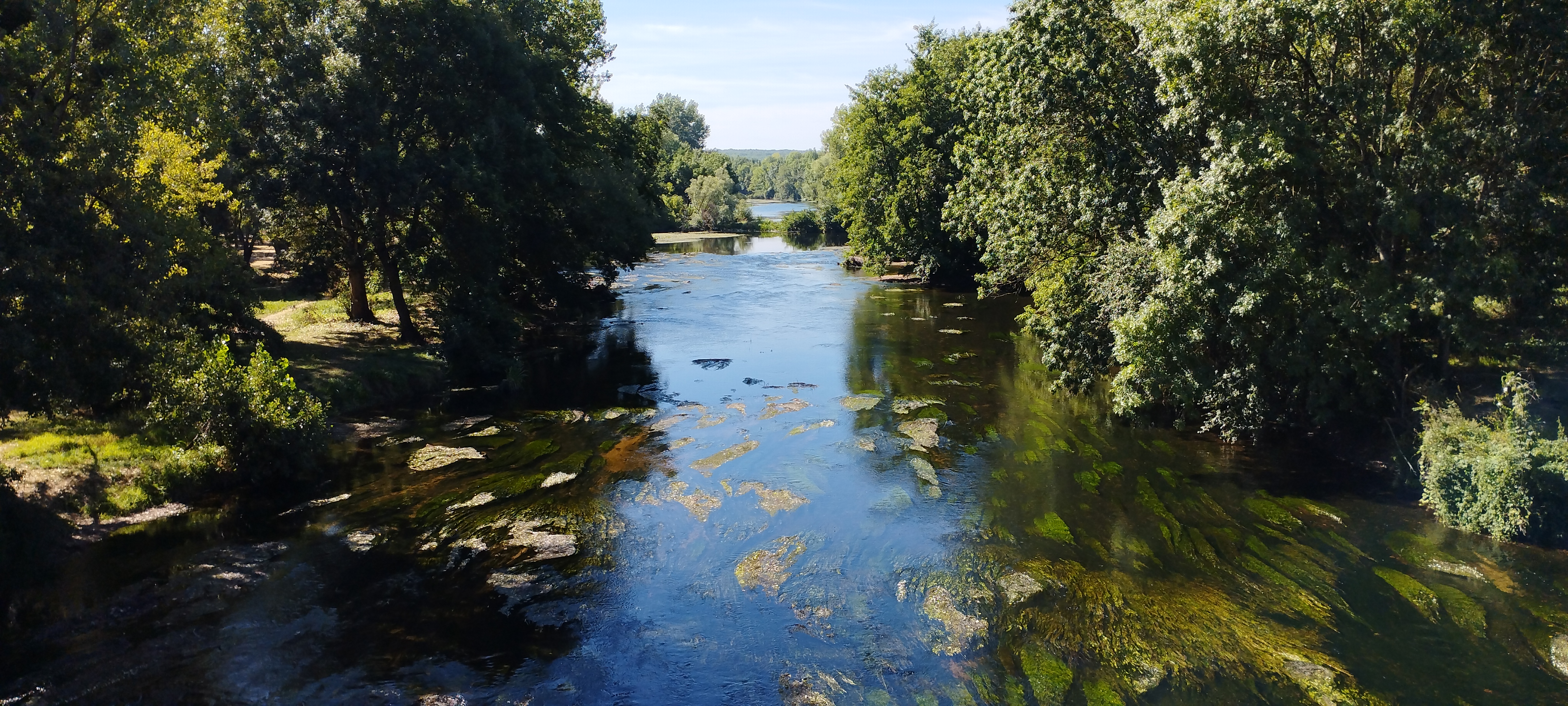 Tèrra Aventura : Mulet de Jacquelin, superstar !