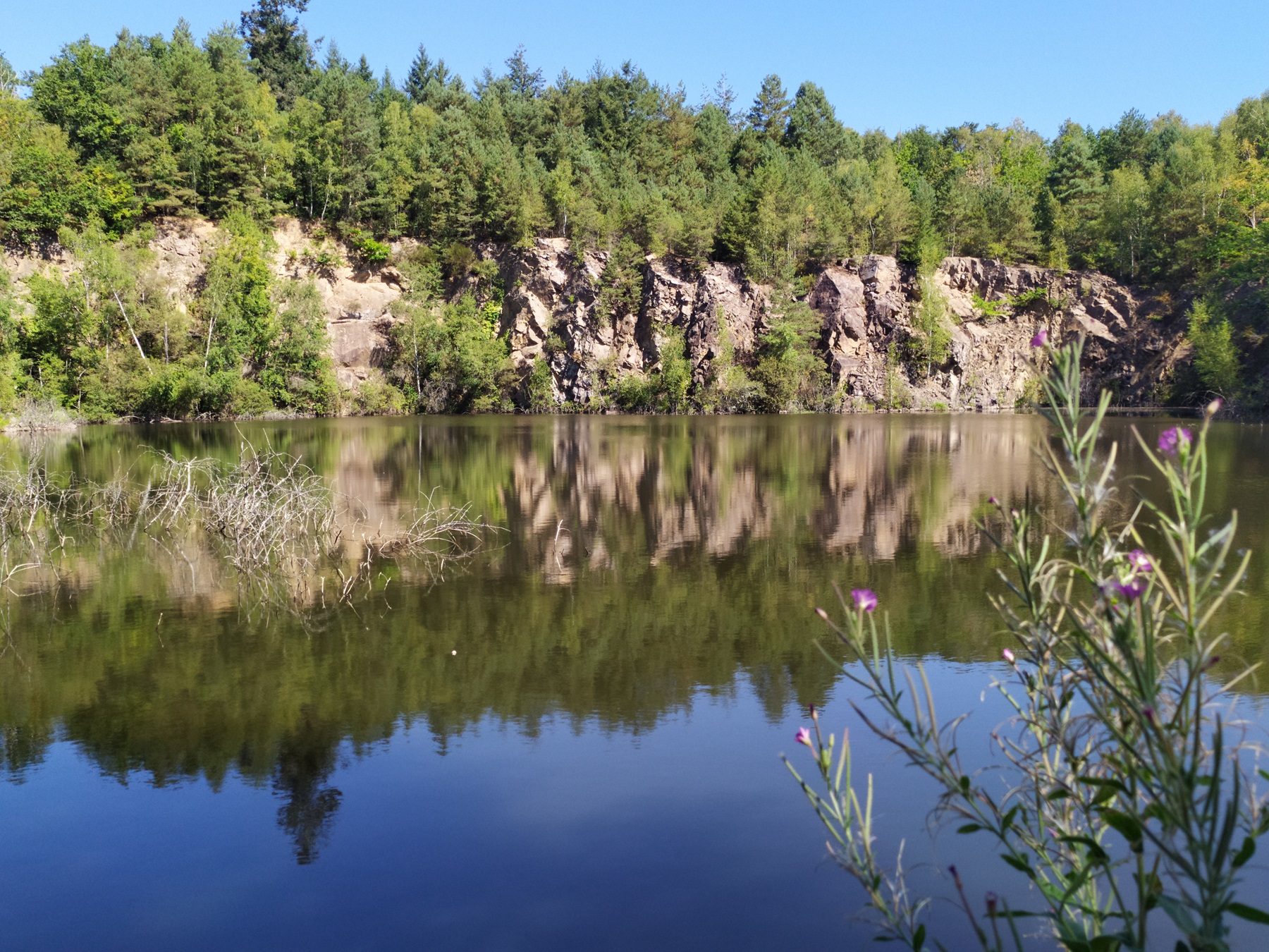 Gîte à la ferme Le rucher an'imé, Cieux - photo 5