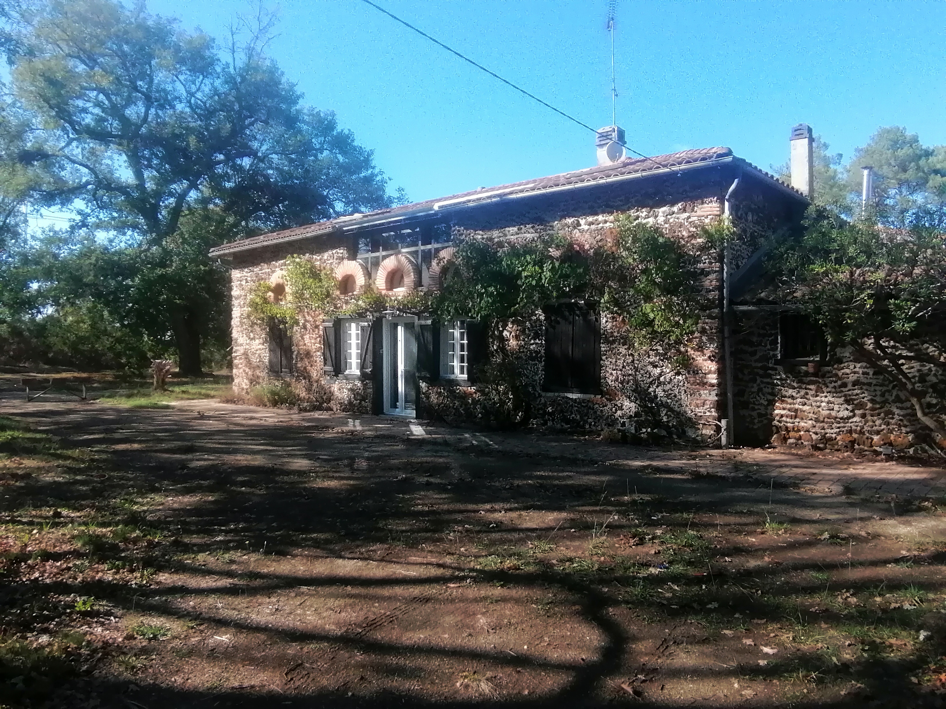 Petit Bios, Morcenx-la-Nouvelle - photo 6