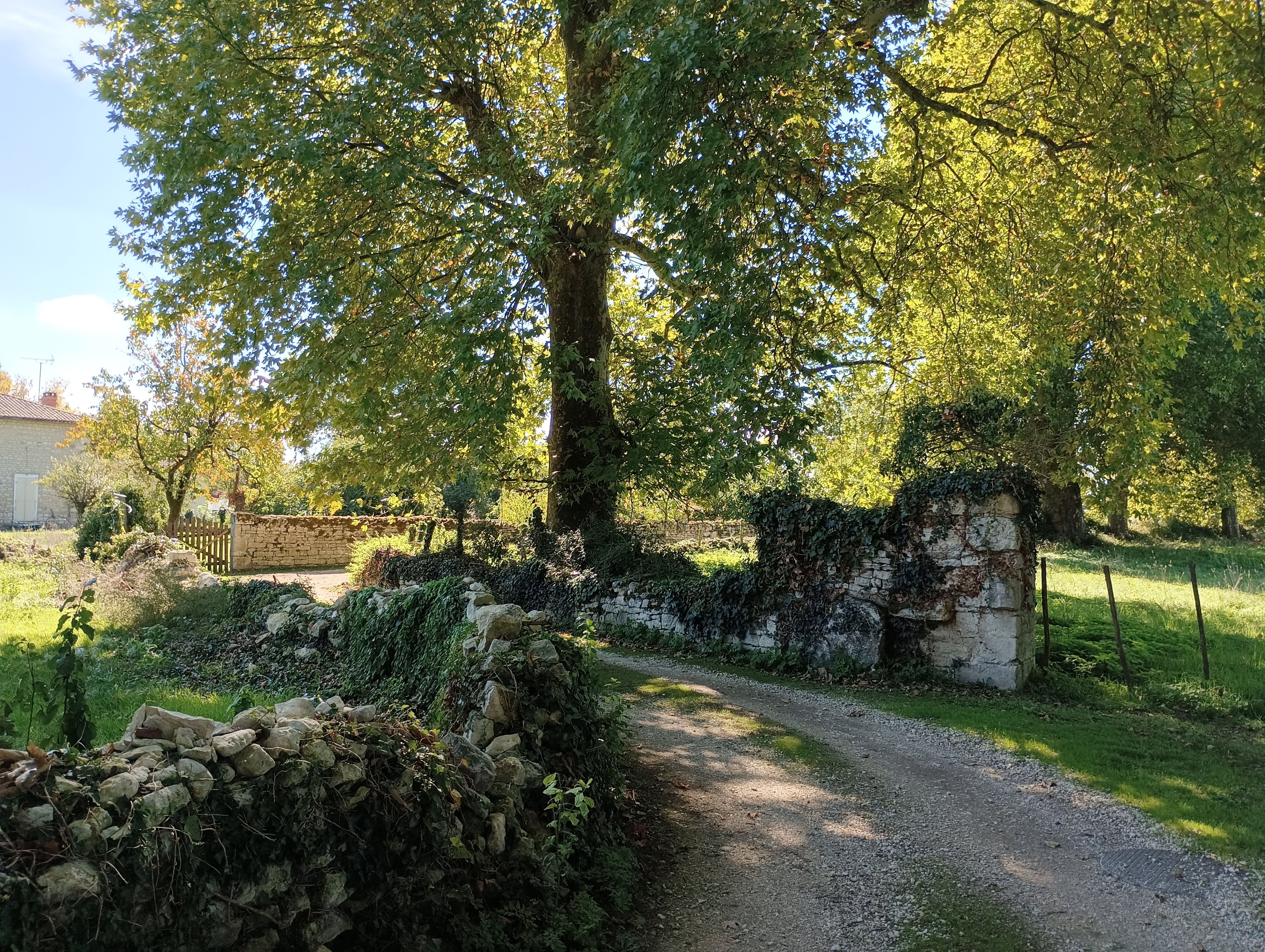 Le sentier de la Belle - Périgné
