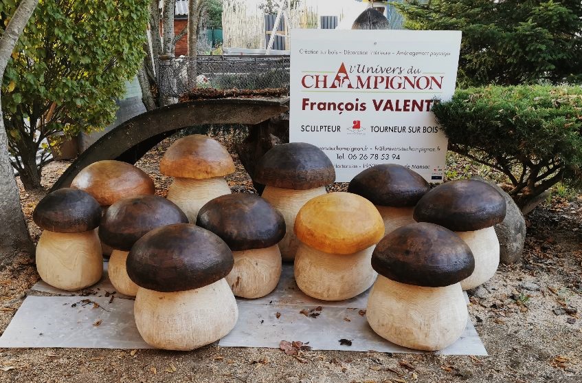 L'univers du champignon — photo 2