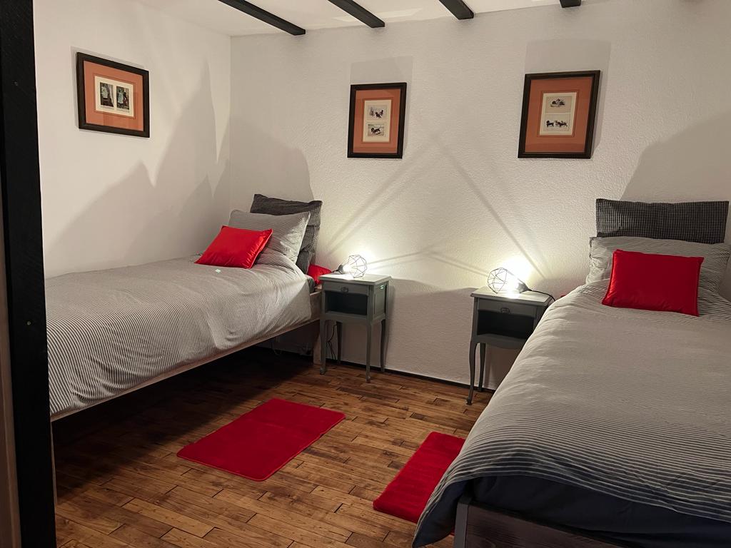 Les Petits Chiens - Gîte Grand Pépé, Saint-Silvain-sous-Toulx - photo 13