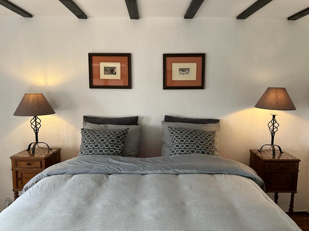 Les Petits Chiens - Gîte Grand Pépé, Saint-Silvain-sous-Toulx - photo 8