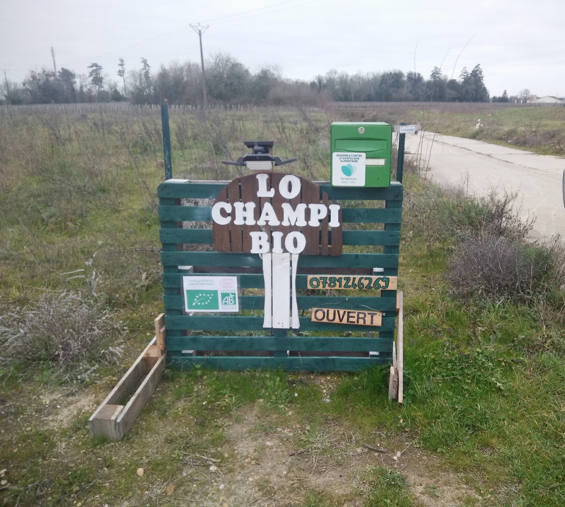 Lo Champi Bio — photo 2