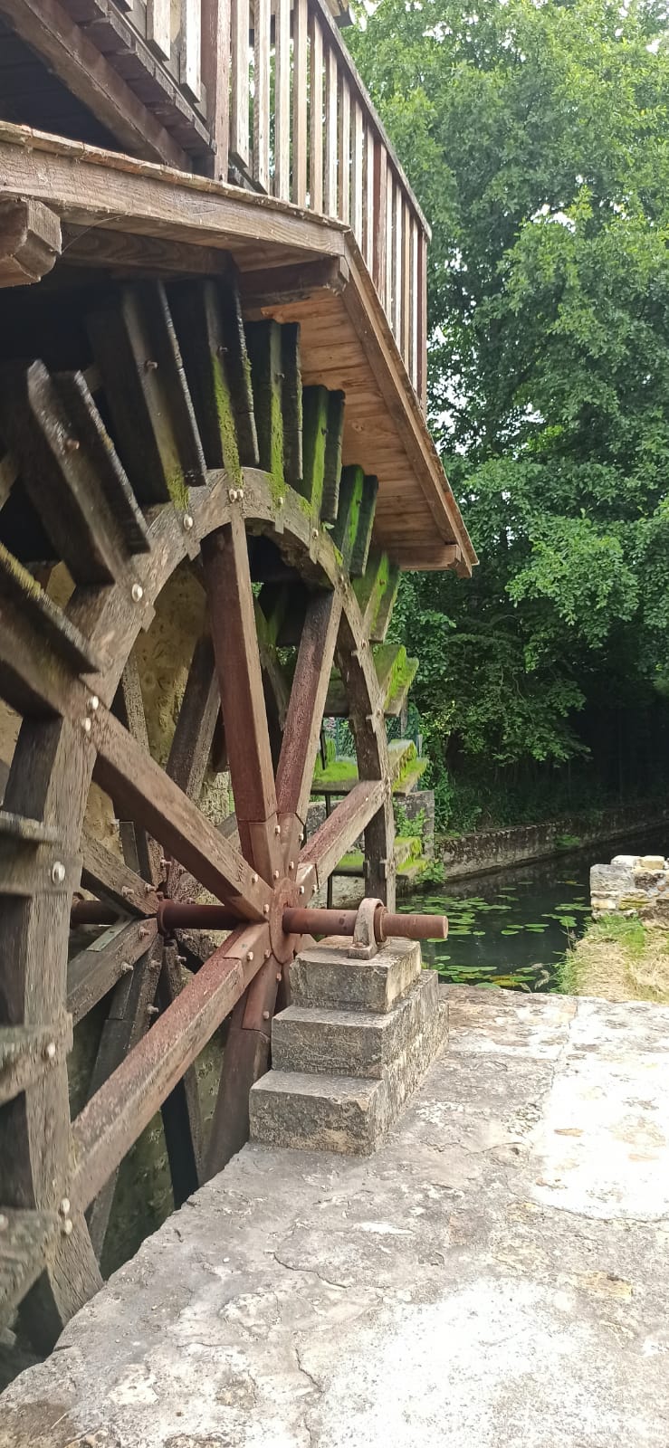 Le Moulin Neuf - L'Aubépine