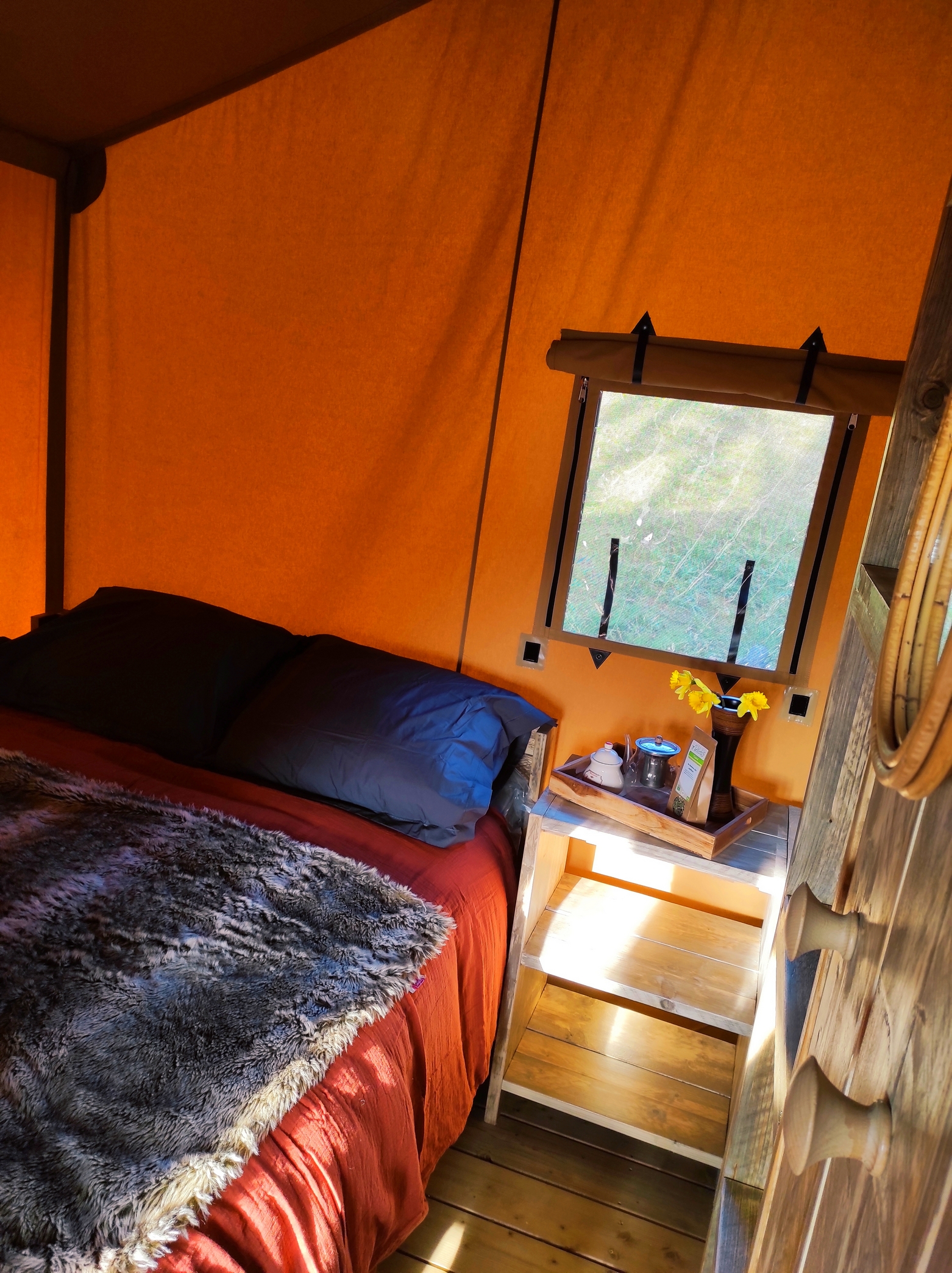 La toile du Berger - Domaine de la Clauzade, Saint-Germain-les-Vergnes - photo 8