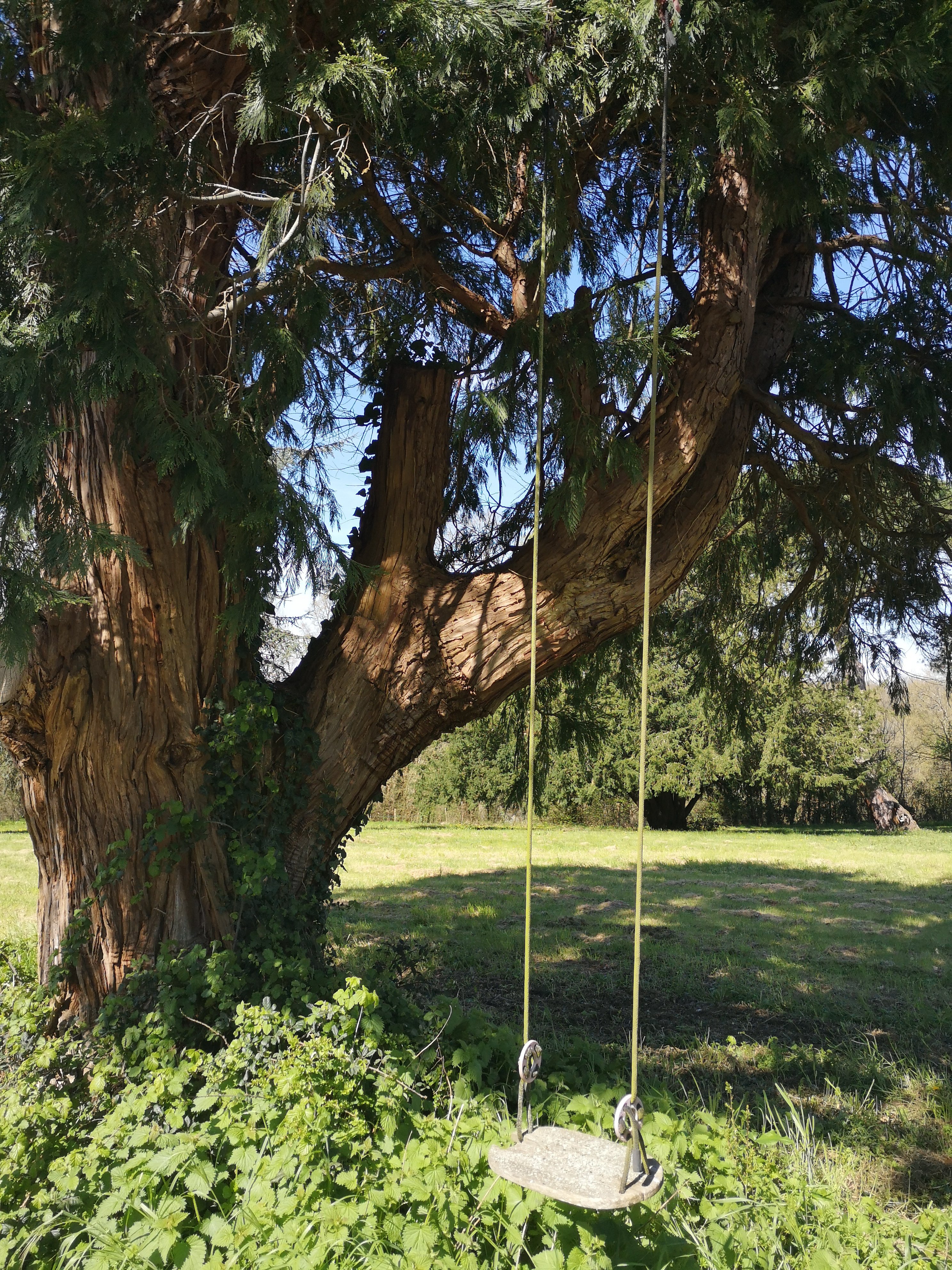 Domaine d'Ancia, Anché - photo 4