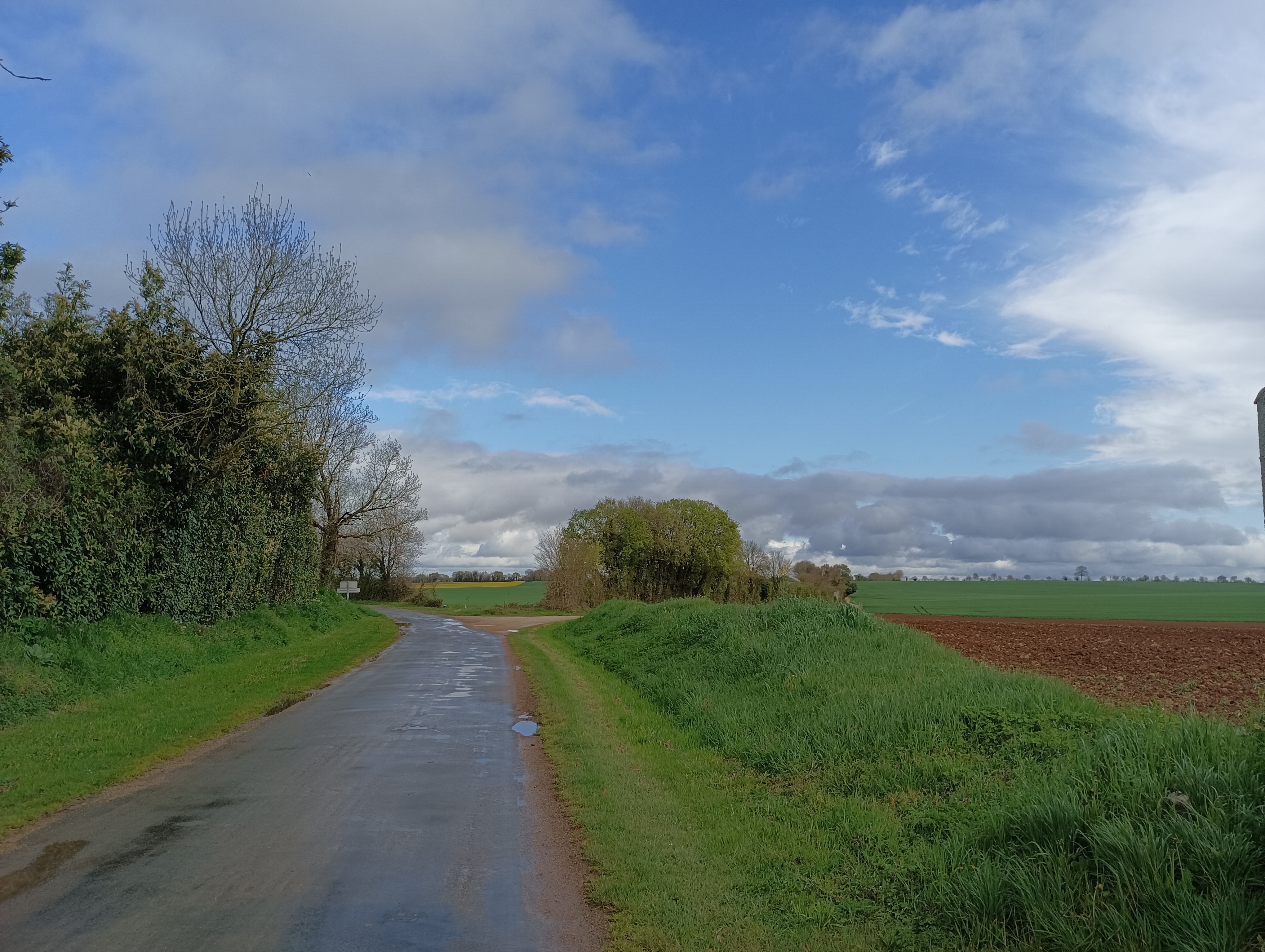 Du Tilleul à la Somptueuse - Tillou, Chef-Boutonne - photo 5