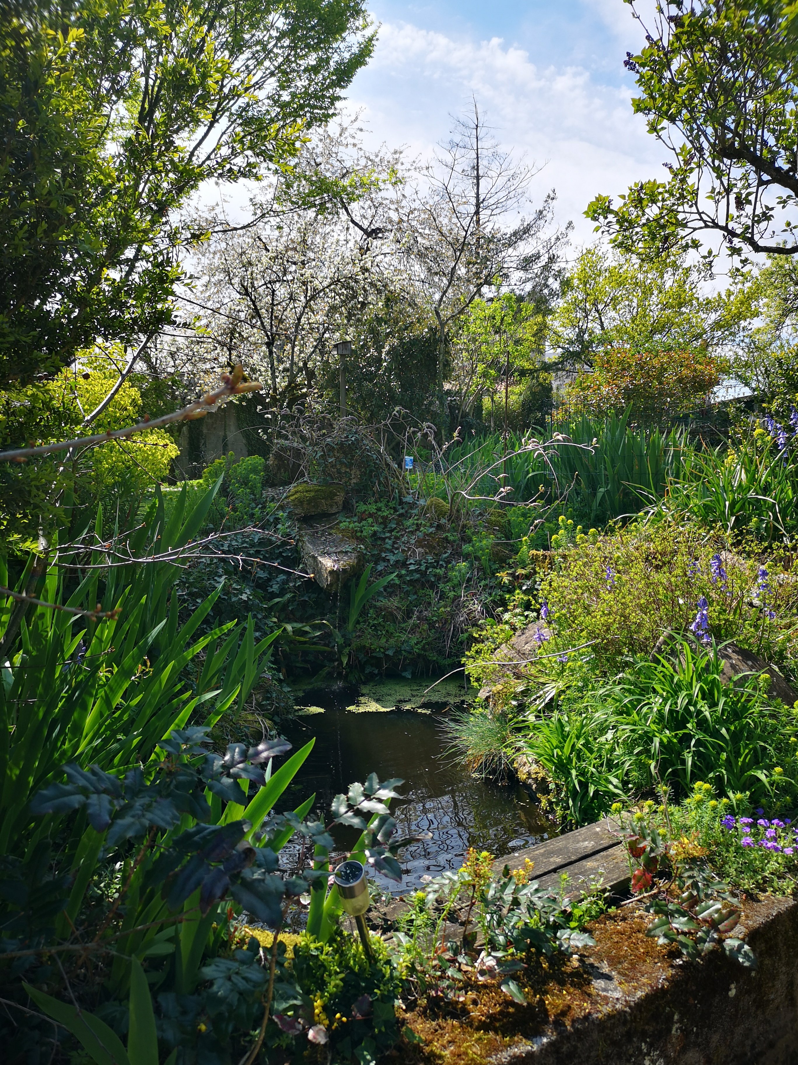 Meublé 2 personnes à Parthenay - Chez Pat, Parthenay - photo 3