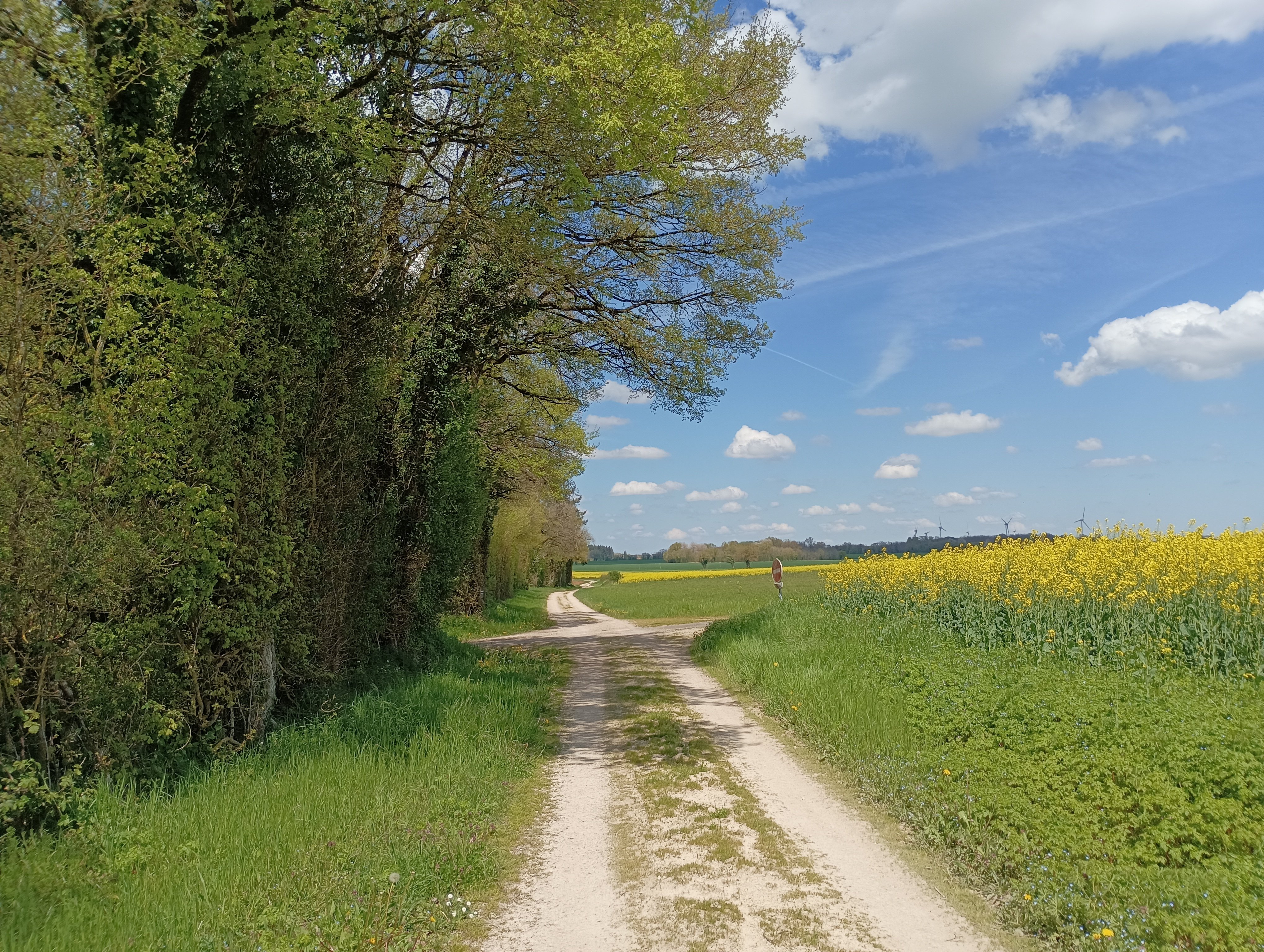 Entre château et fresques- Pioussay