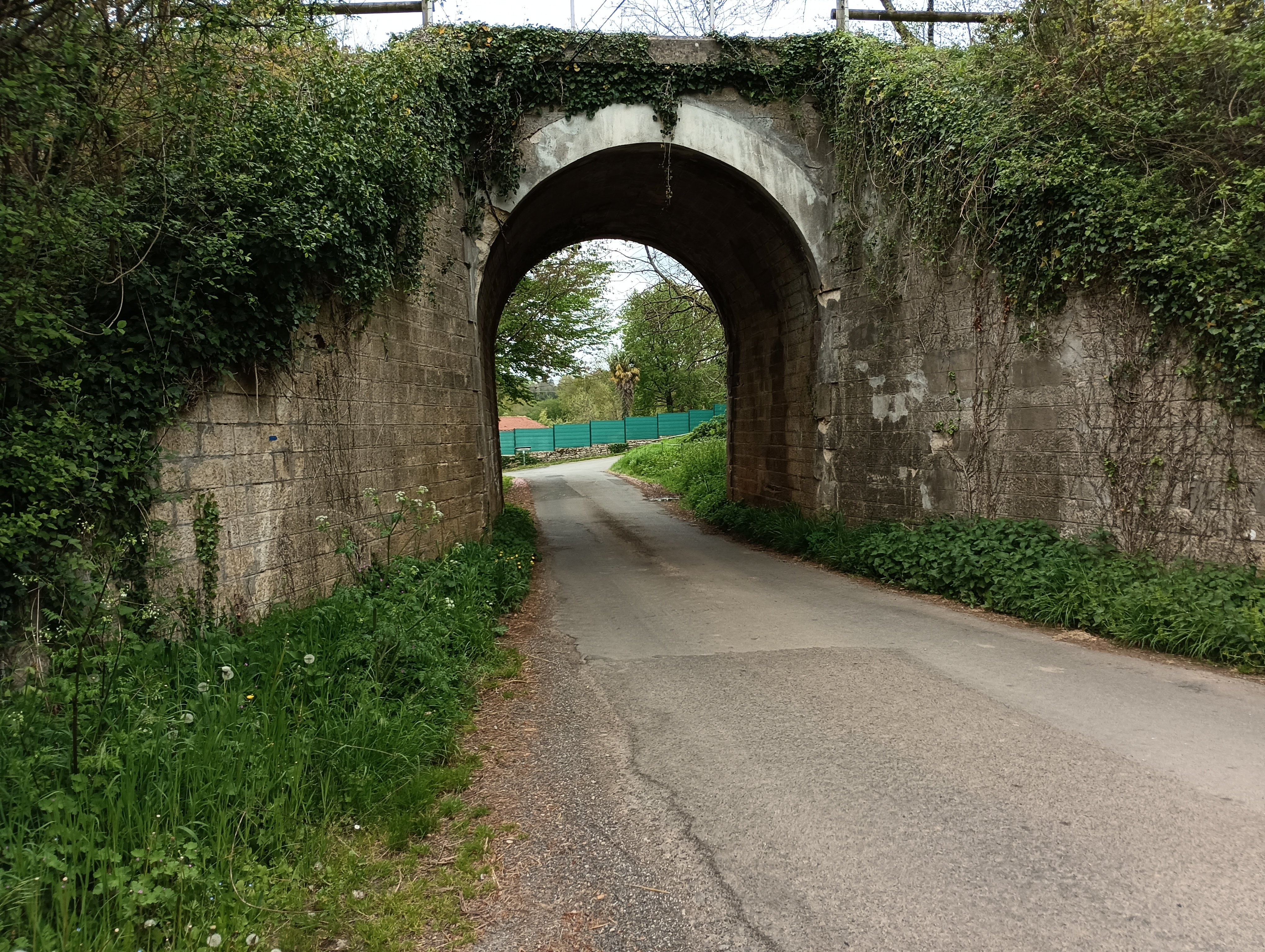 Les Bois de Celles - Celles-sur-Belle, Celles-sur-Belle - photo 3