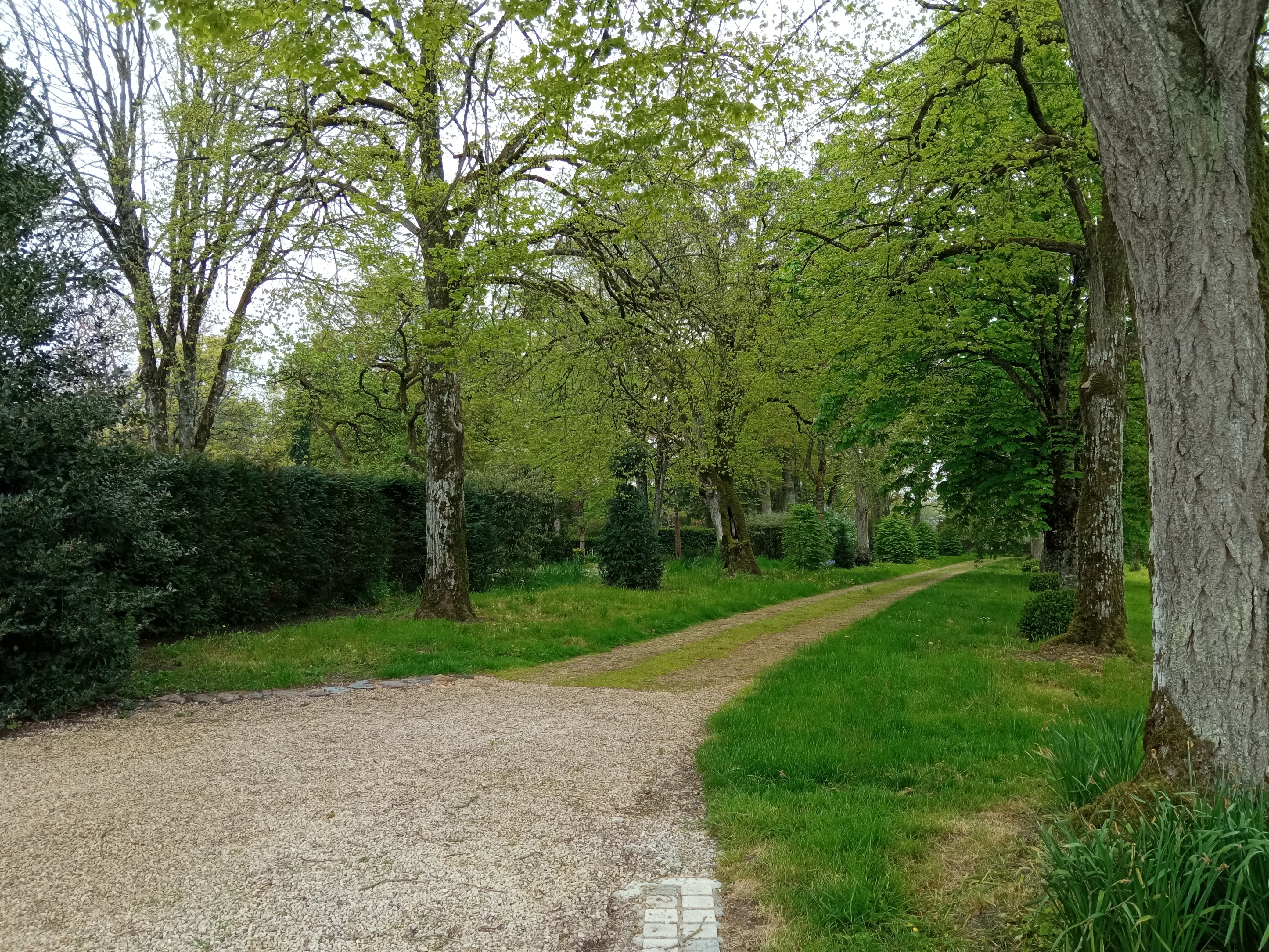 Chambre d'hôtes Le Logis, La Peyratte - photo 7