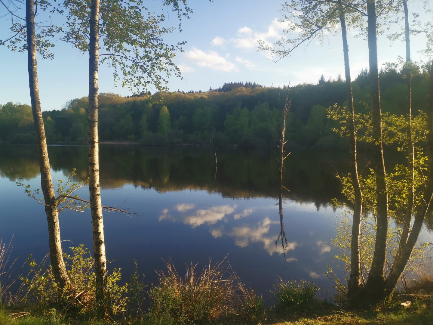 Etang de Rochat, Saint-Junien-la-Bregère