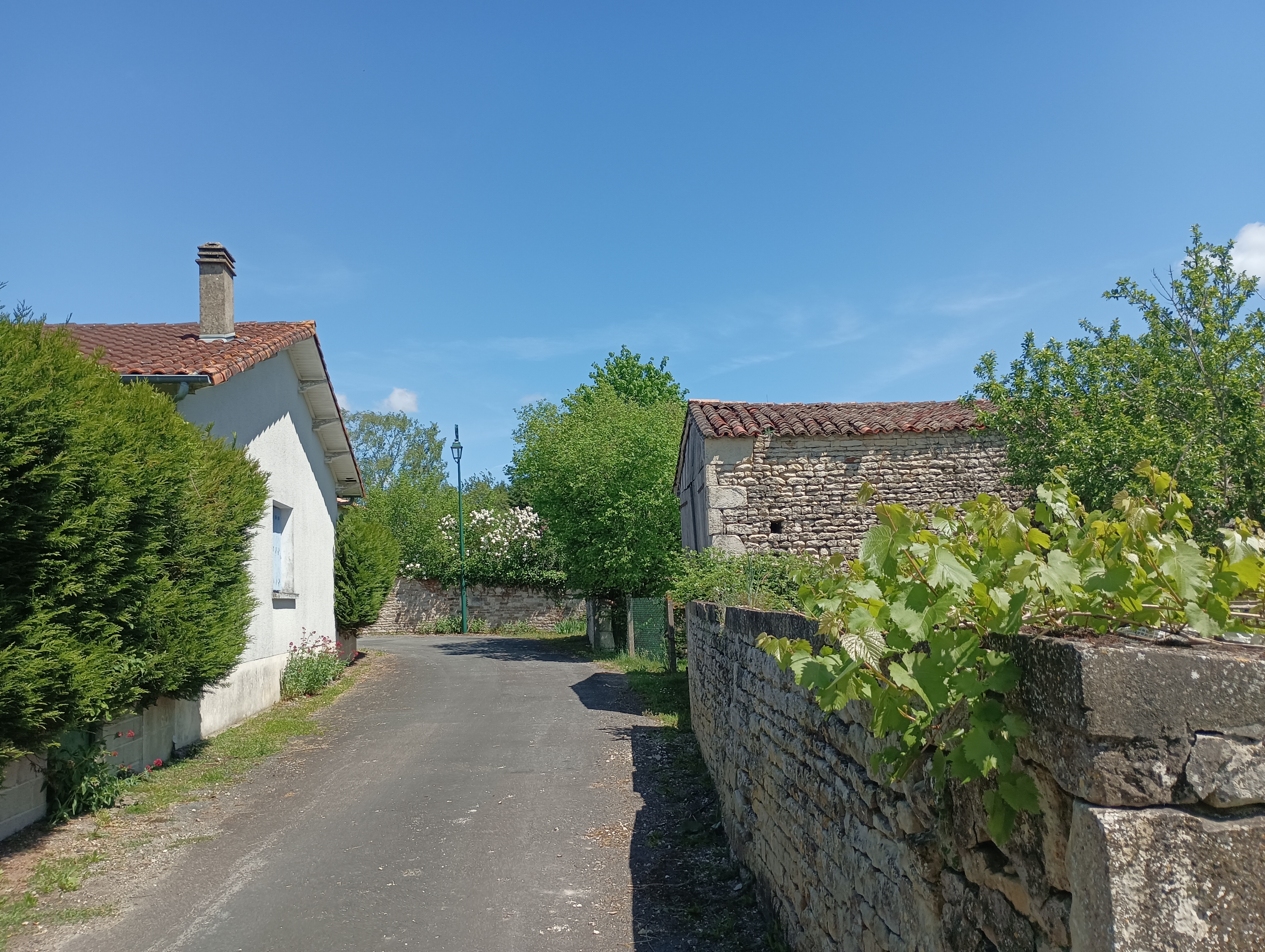 Le chemin des Lavandières - Hanc, Valdelaume - photo 3