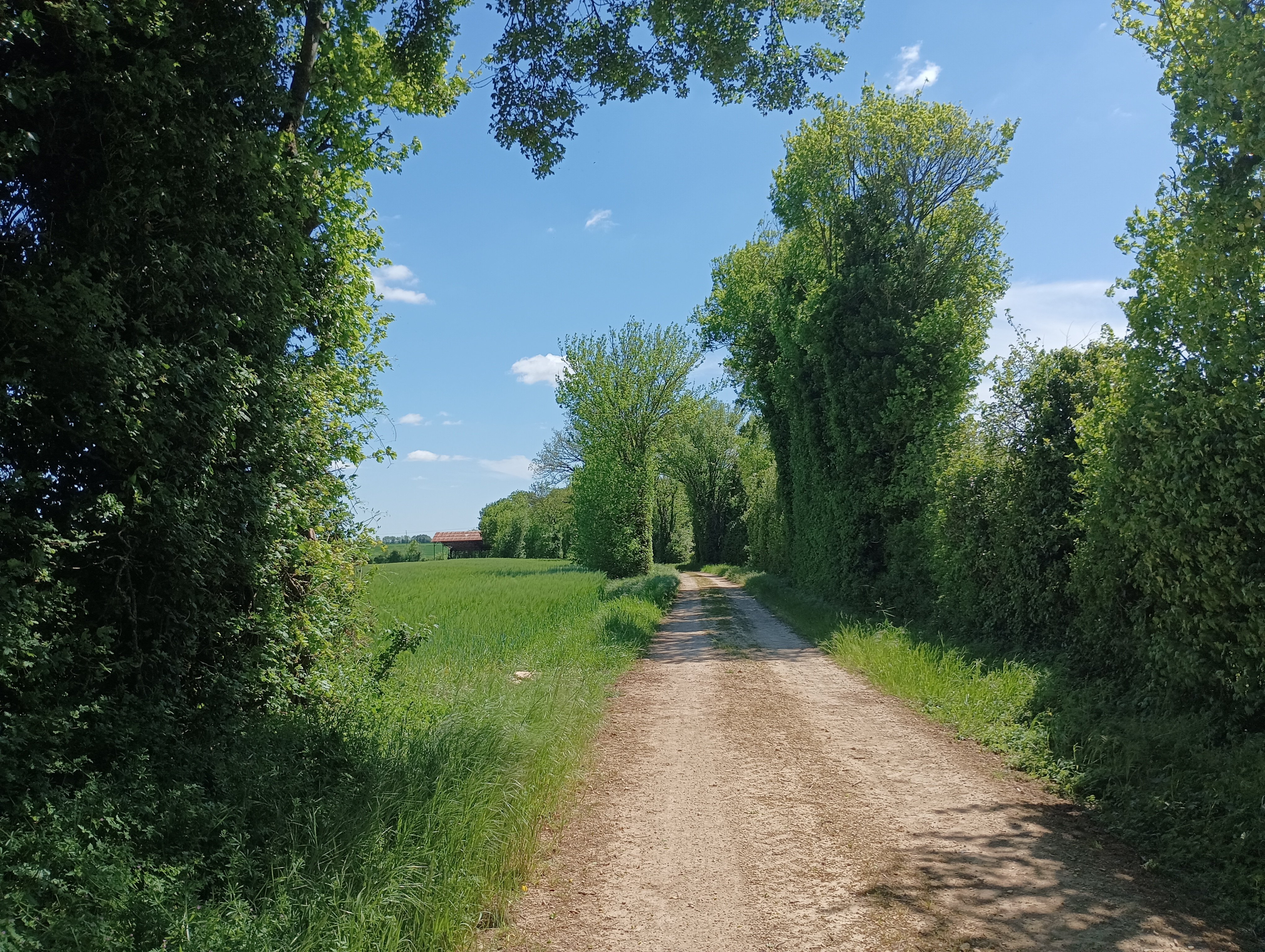 Le chemin des Lavandières - Hanc