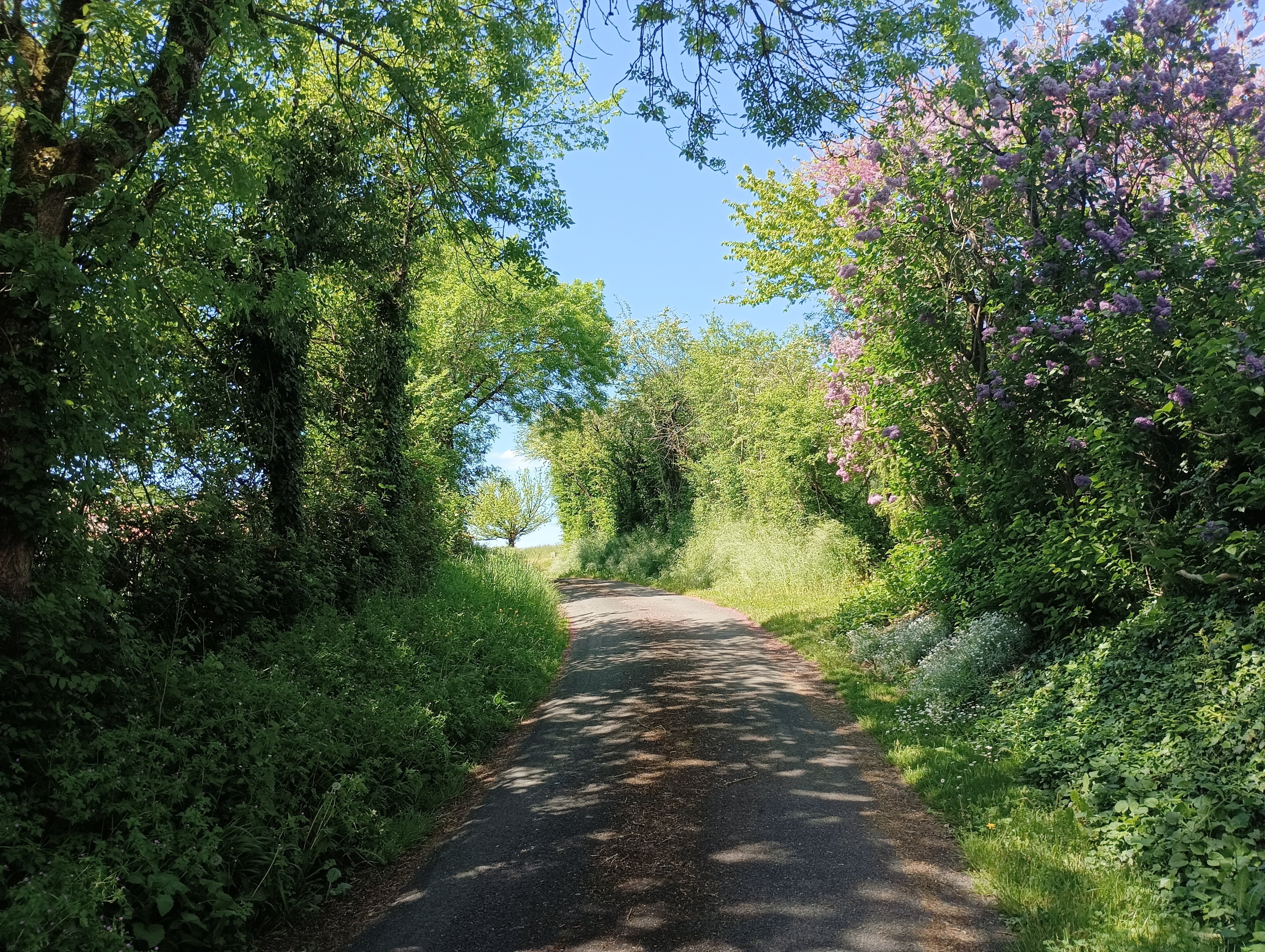 Le chemin des Lavandières - Hanc, Valdelaume