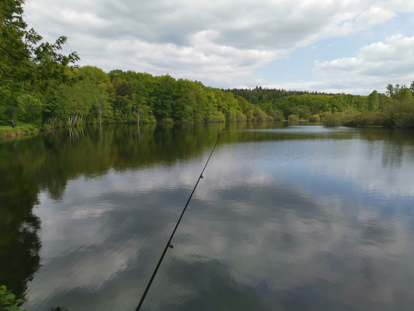 Etang de Rochat, Saint-Junien-la-Bregère - photo 3