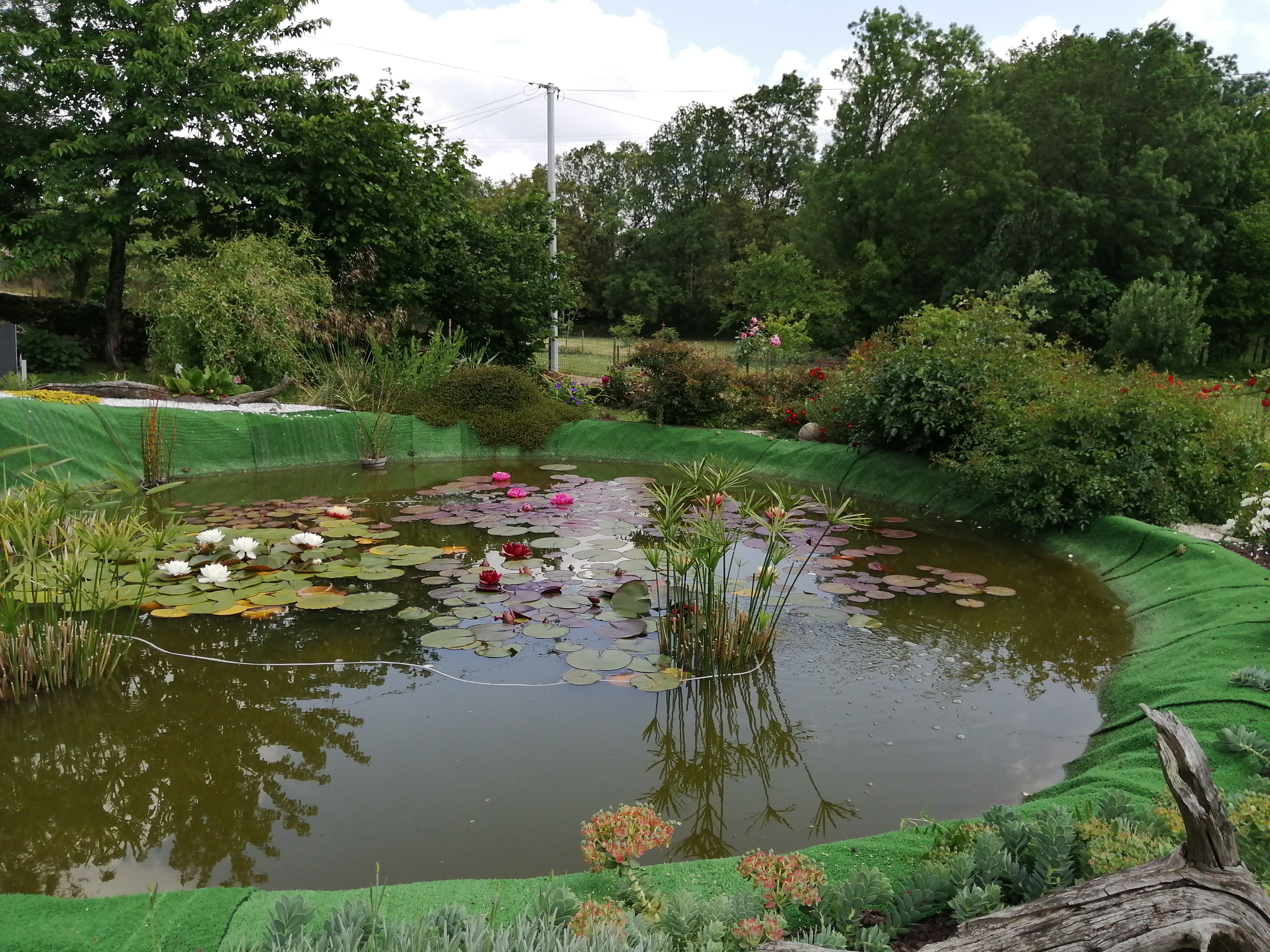 Chambre d'hôtes Les Nénuphars, Melle - photo 7