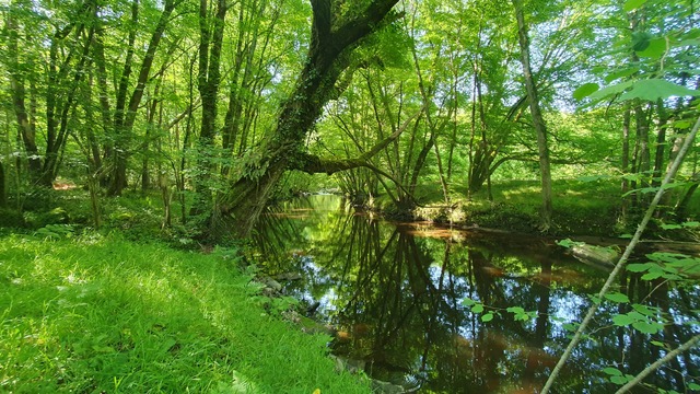 Moulin de chez Joyeux, Val-d'Oire-et-Gartempe - photo 9