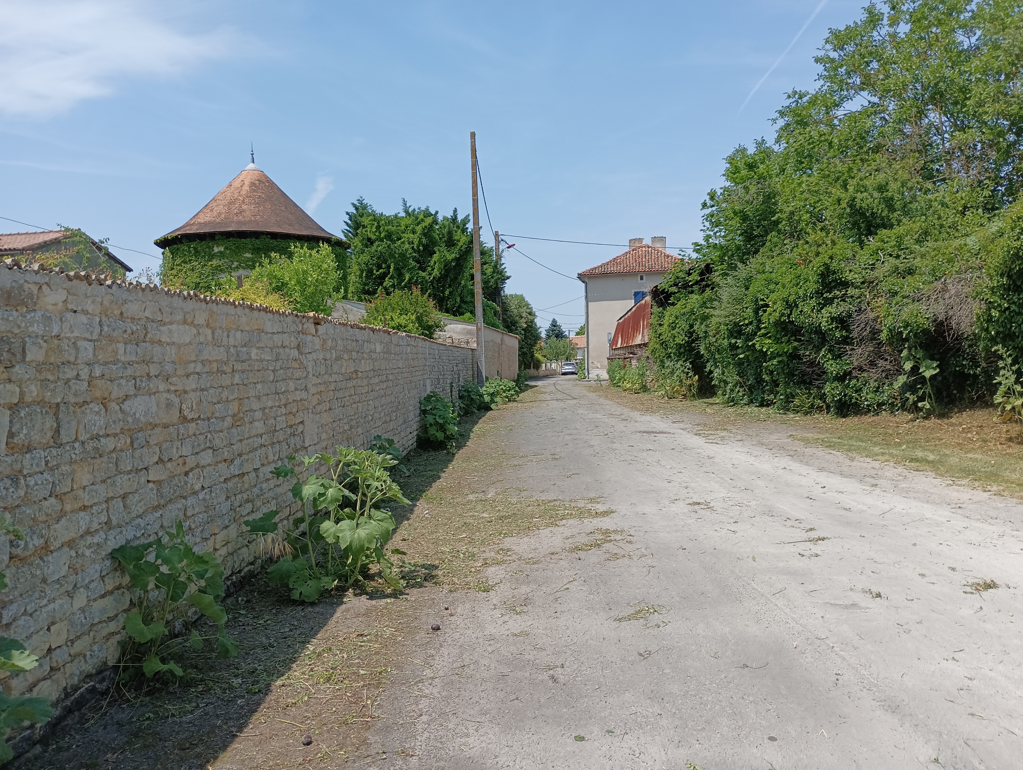 Nature cachée - Chef-Boutonne