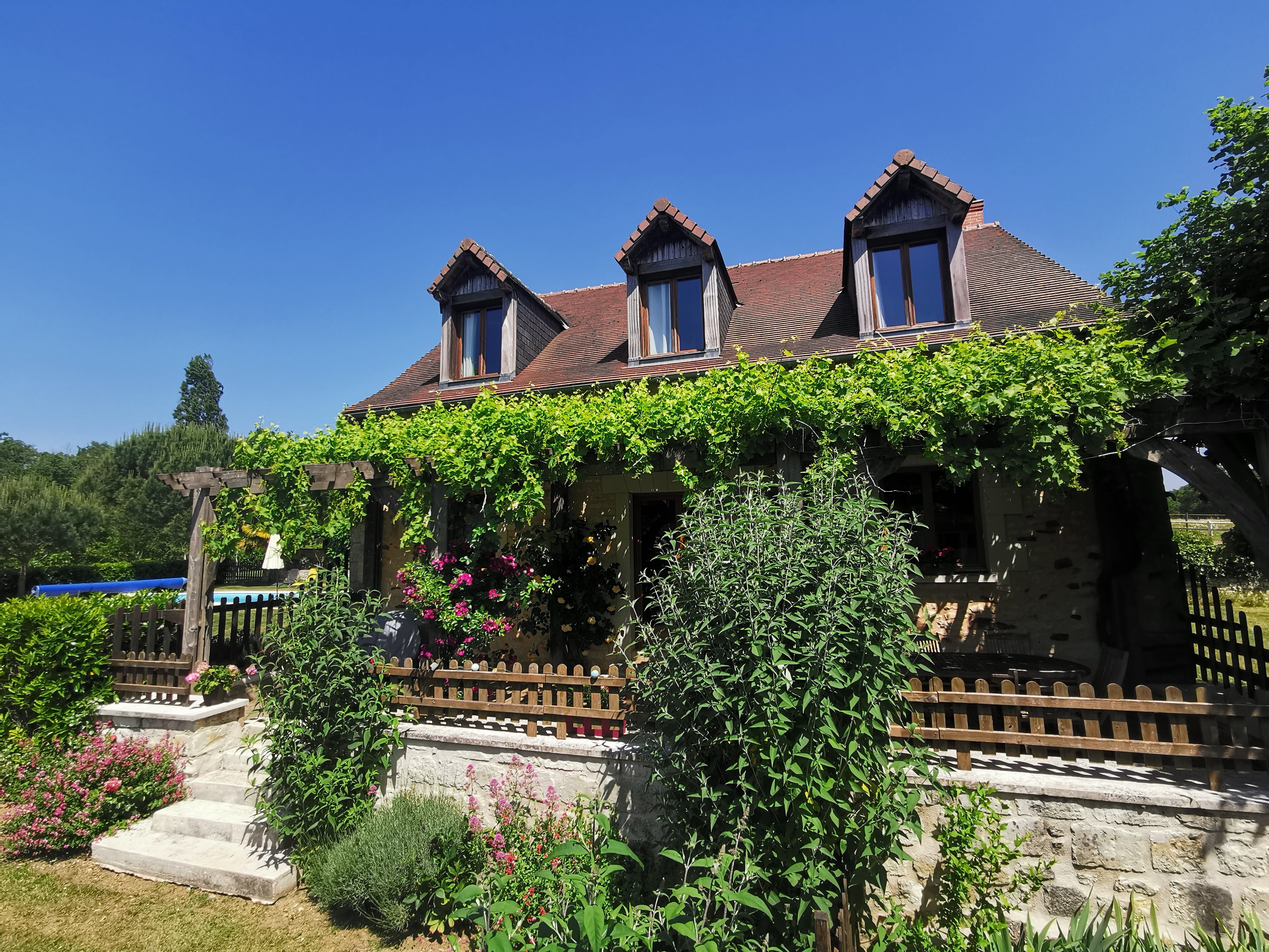 Domaine des Petites Minaudières, Senillé-Saint-Sauveur - photo 26