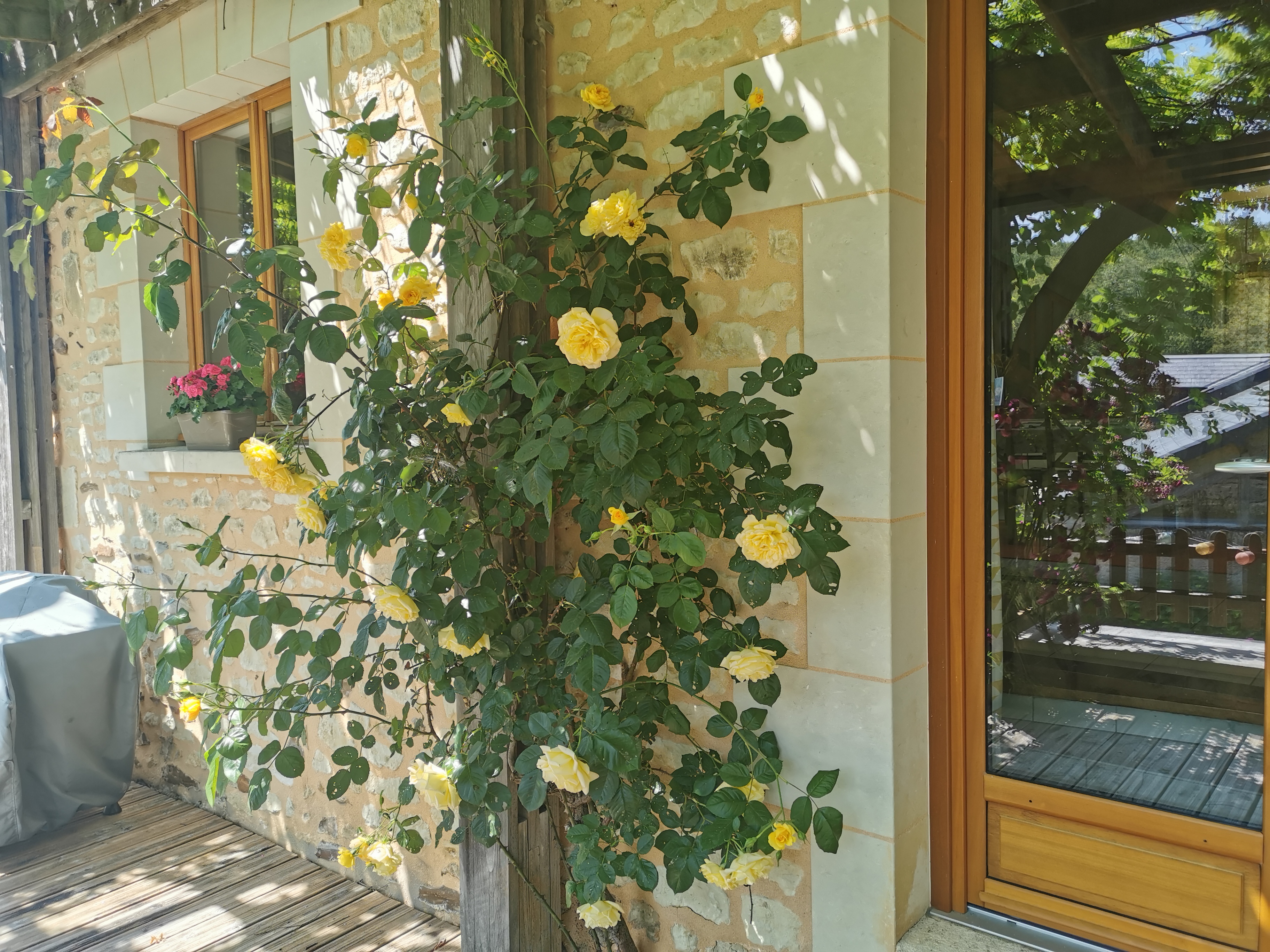 Domaine des Petites Minaudières, Senillé-Saint-Sauveur - photo 3