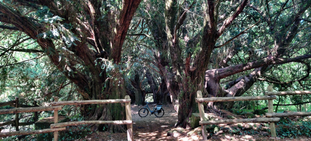 Site de Peyrassoulat