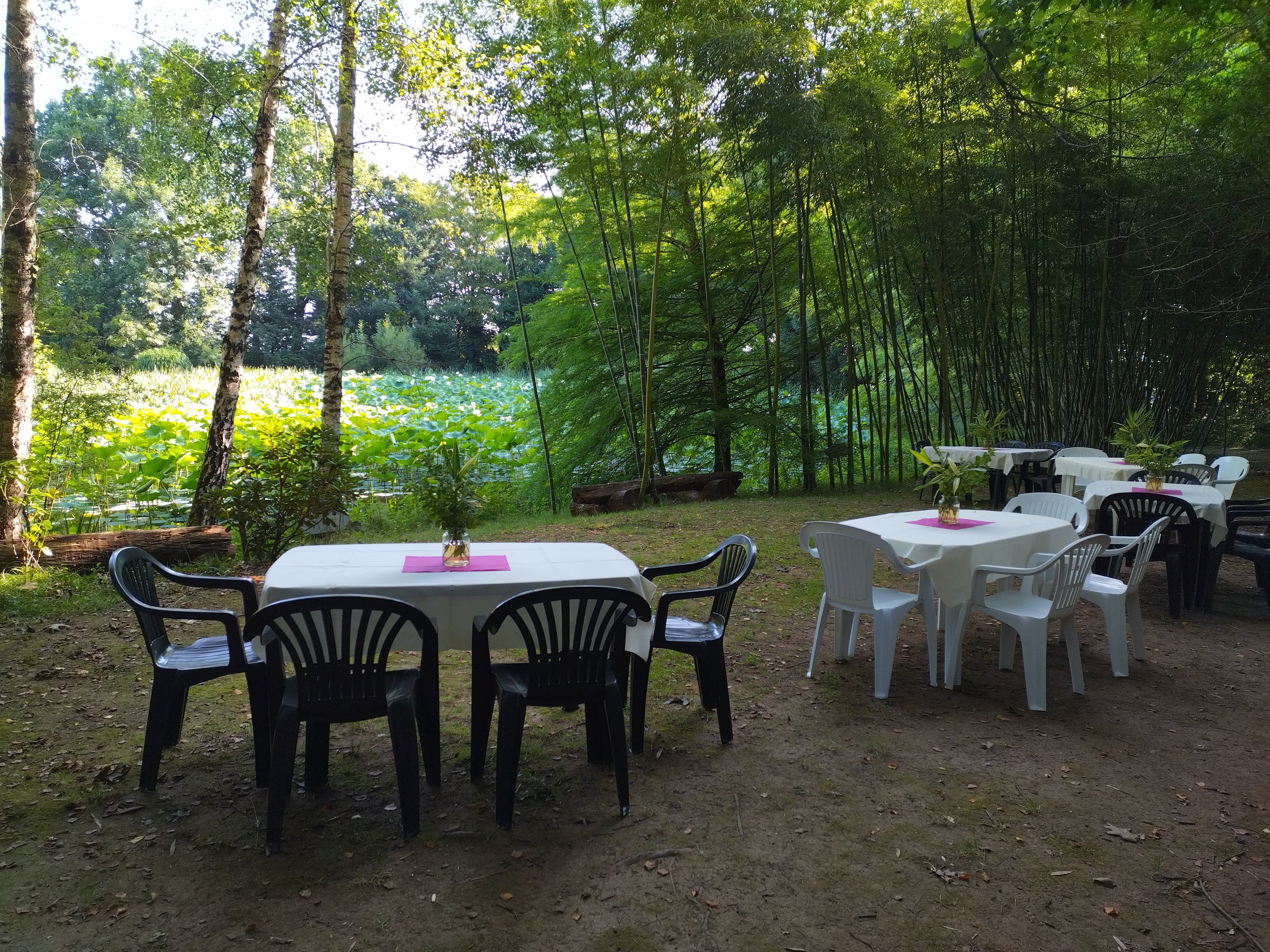 Arboretum Al Gaulhia, Espartignac - photo 2