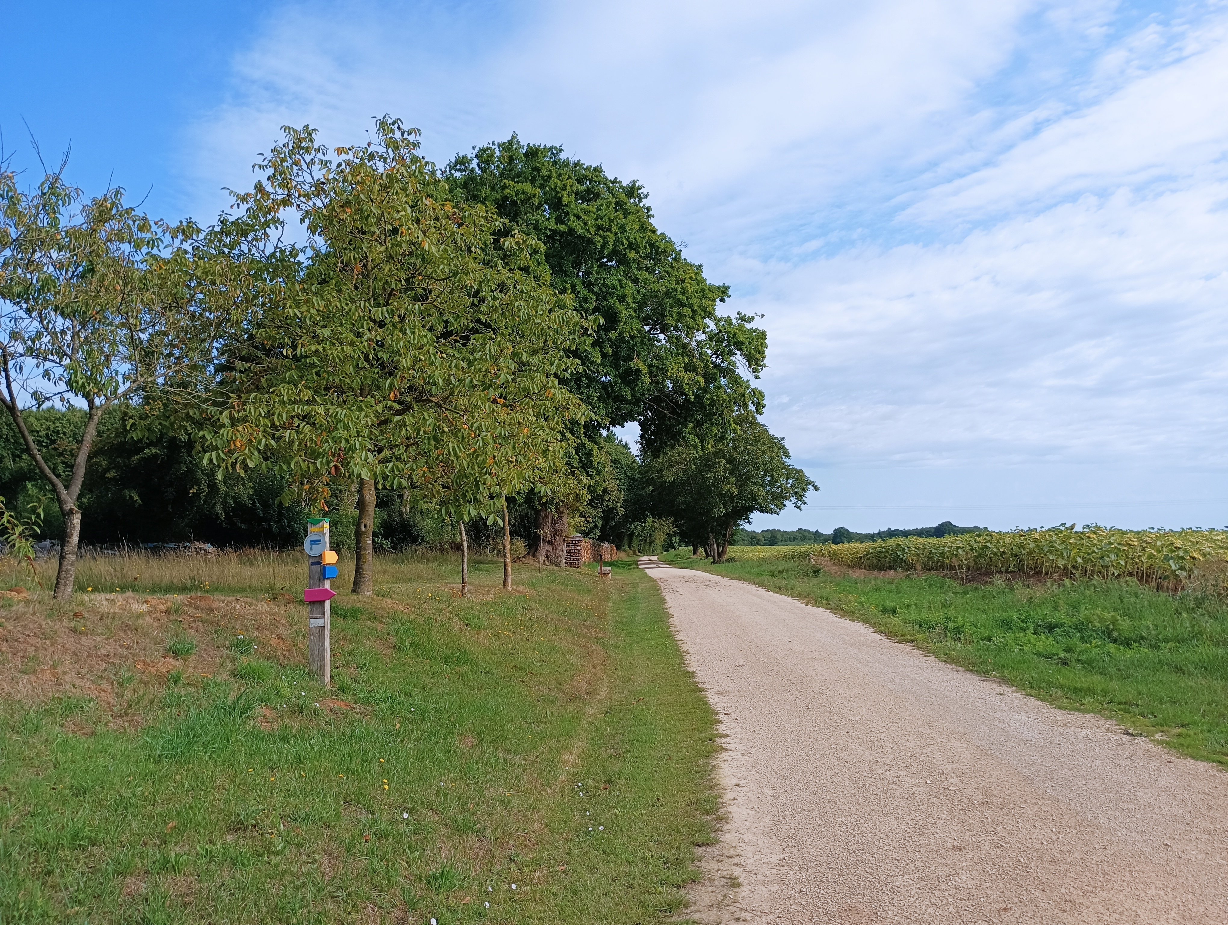 Balade des cinq "tours" - Melleran, Melleran - photo 2