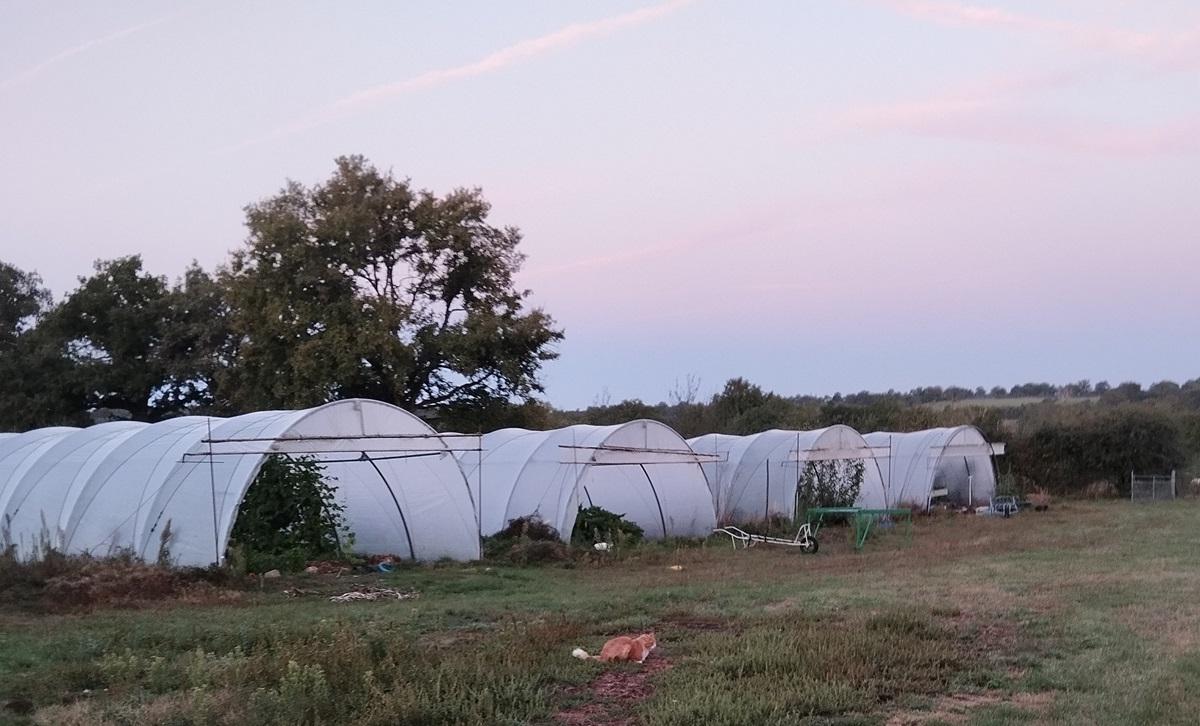 Les jardins de Pomereix — photo 2