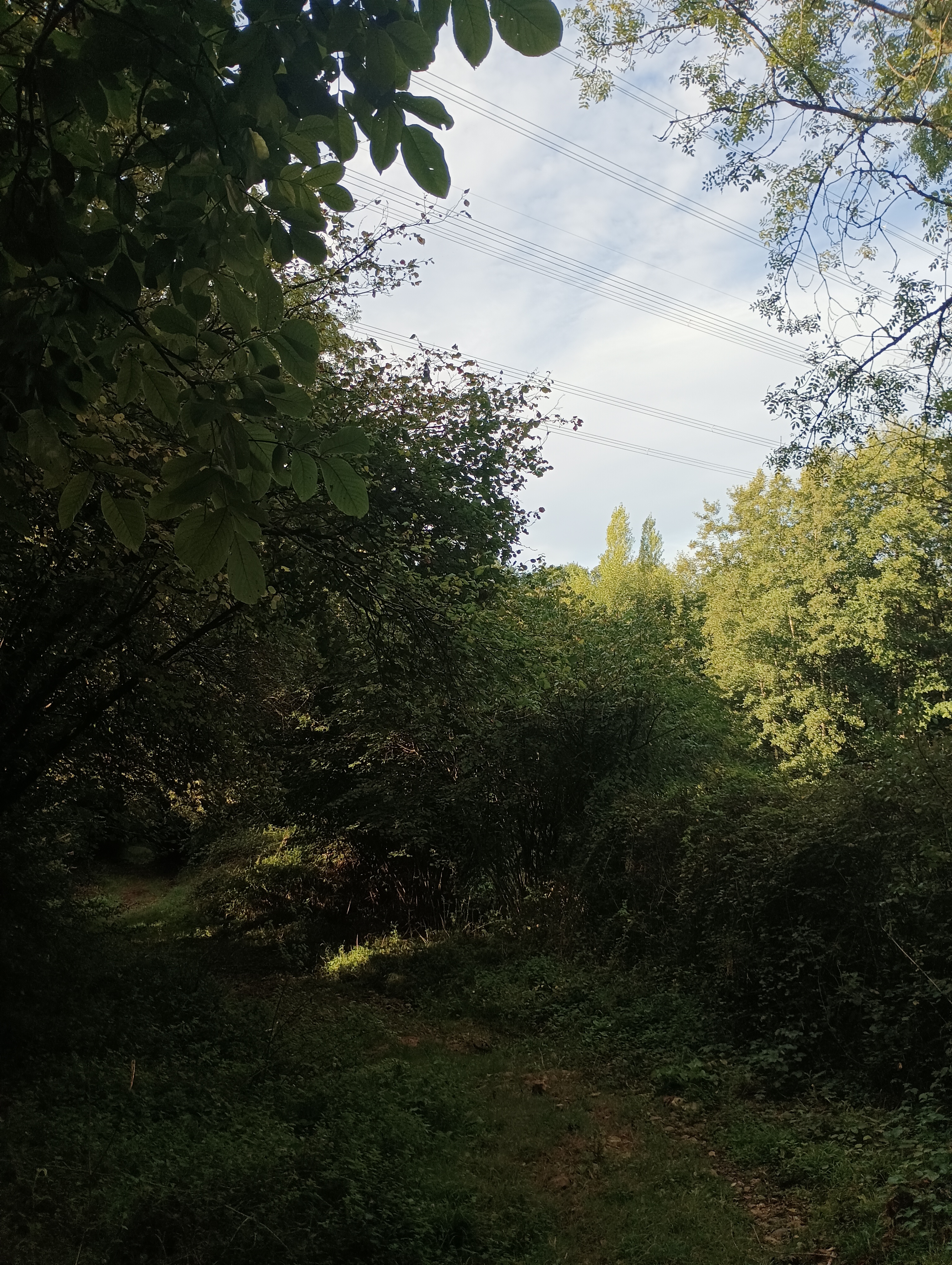 Le Bélier de la Banissière - parking pêcheur, base de Loisirs du Lambon
