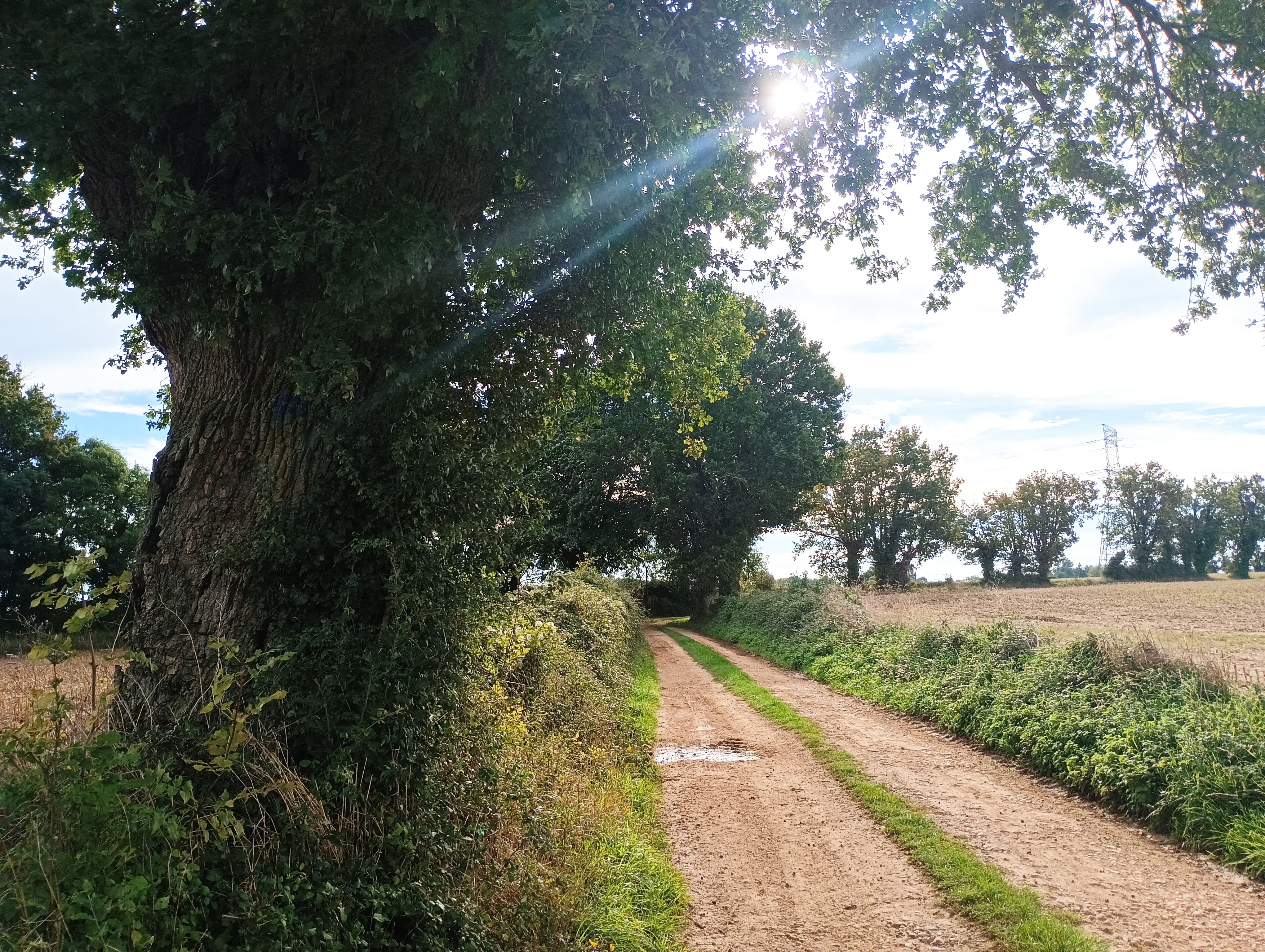 Sentier huguenot - Beaussais, Beaussais-Vitré - photo 4