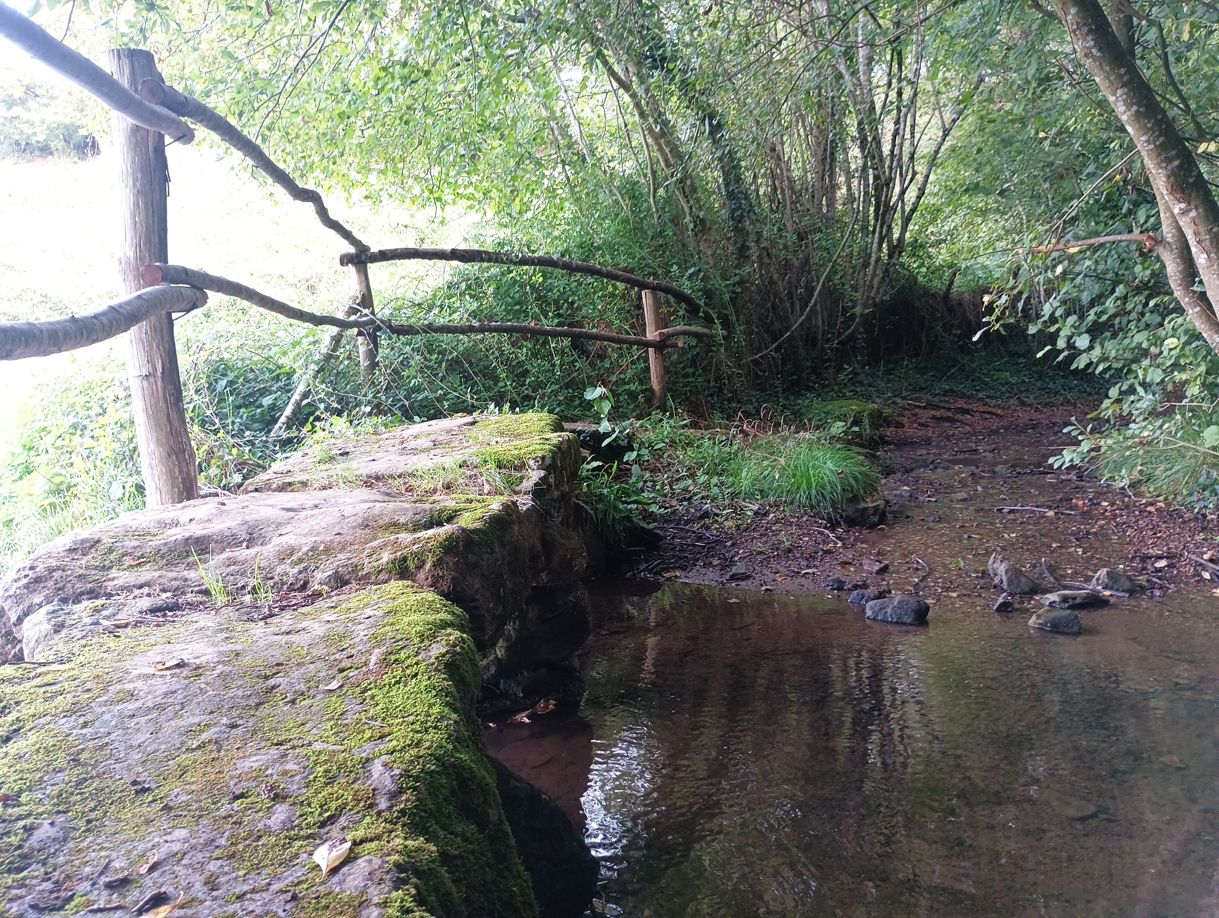 Sentier huguenot - Beaussais, Beaussais-Vitré - photo 3