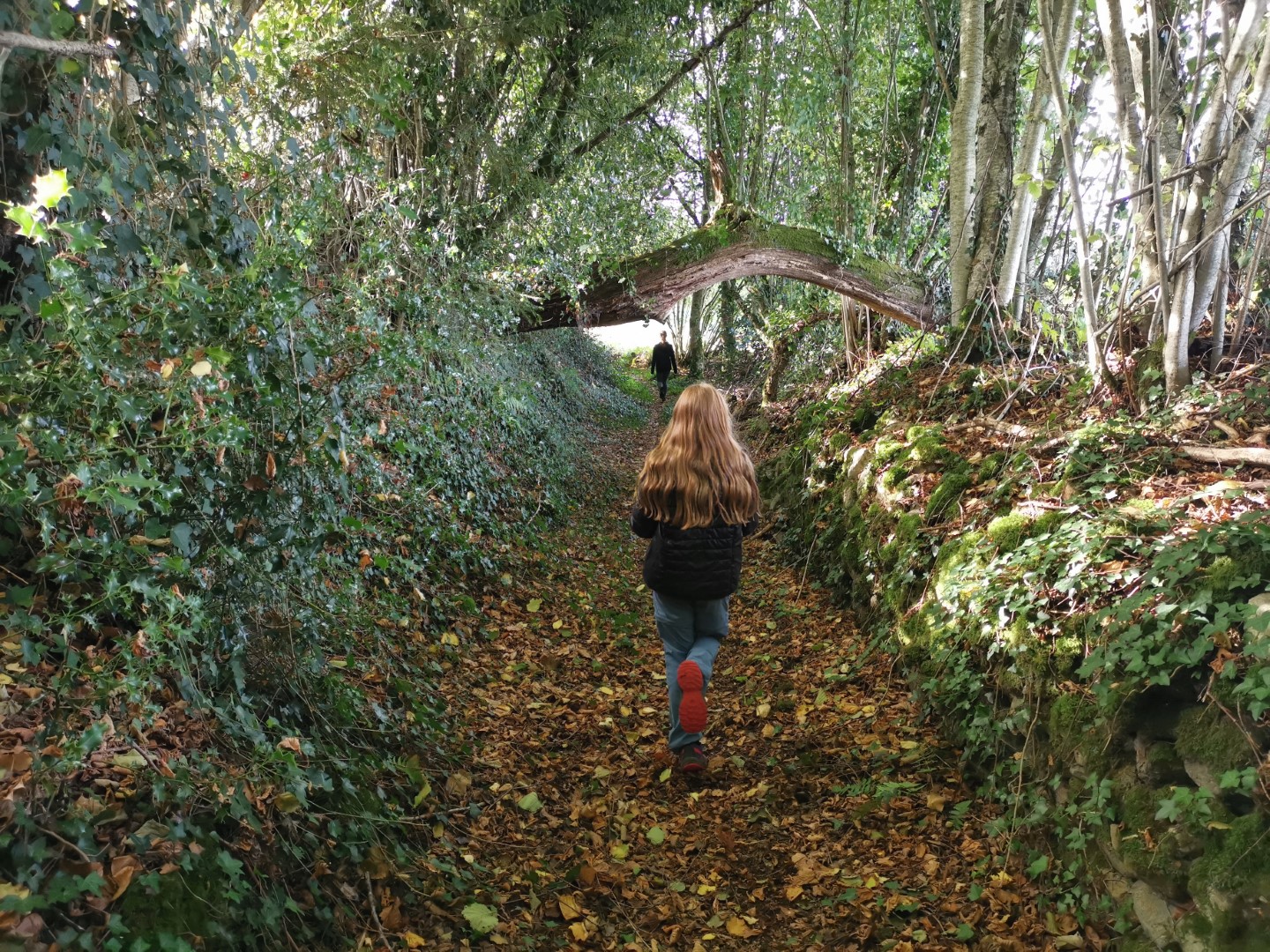 Circuit pédrestre N°70 : Le Mont La Chaize, Thauron