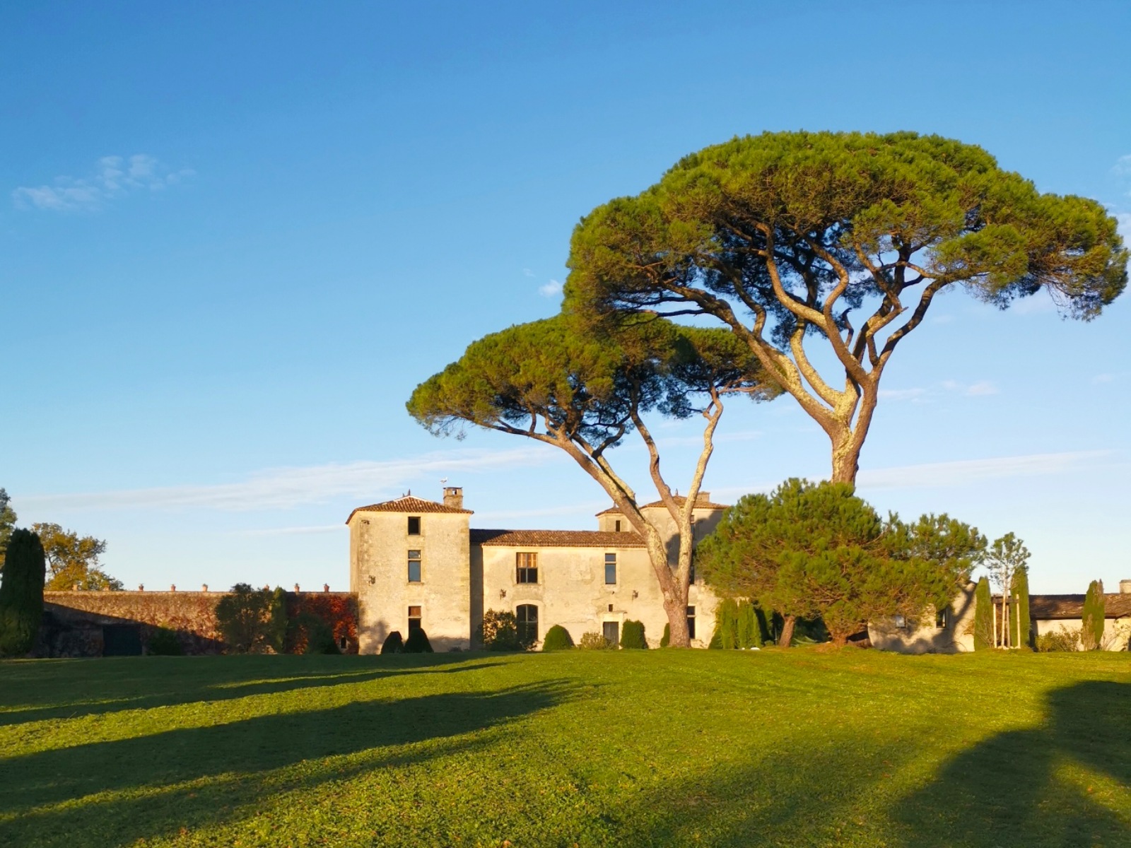 Château Haute-Sage, Haux - photo 2