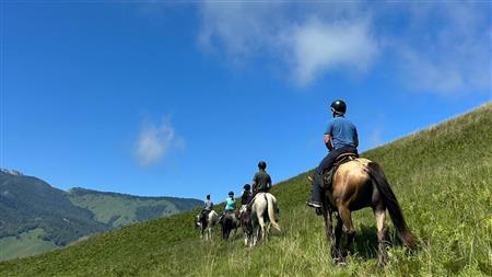 Une séance du Comité de la FSSE sous le signe de la reprise des  manifestations de sport équestre - Swiss Equestrian